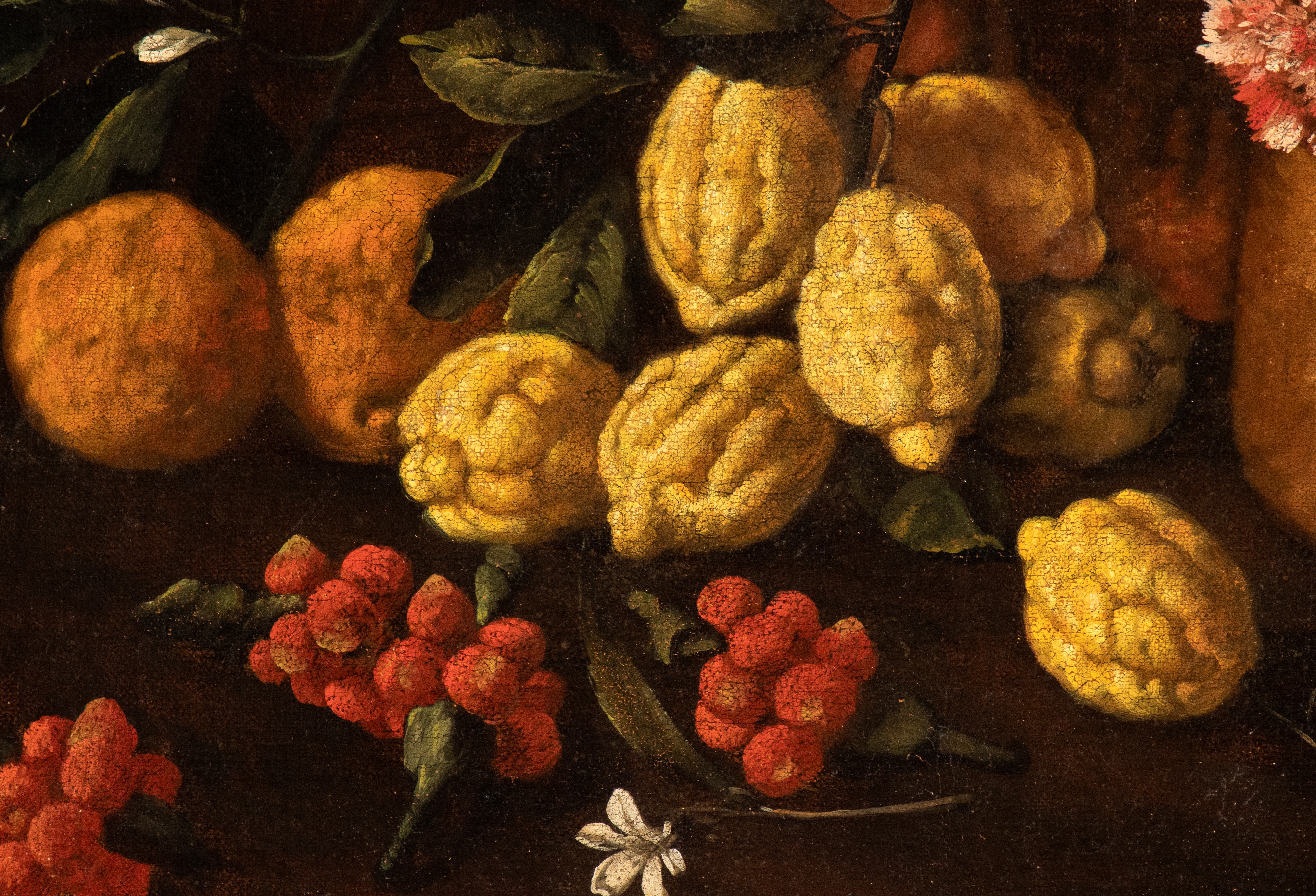 Natura morta con limoni, fragole e uccellino