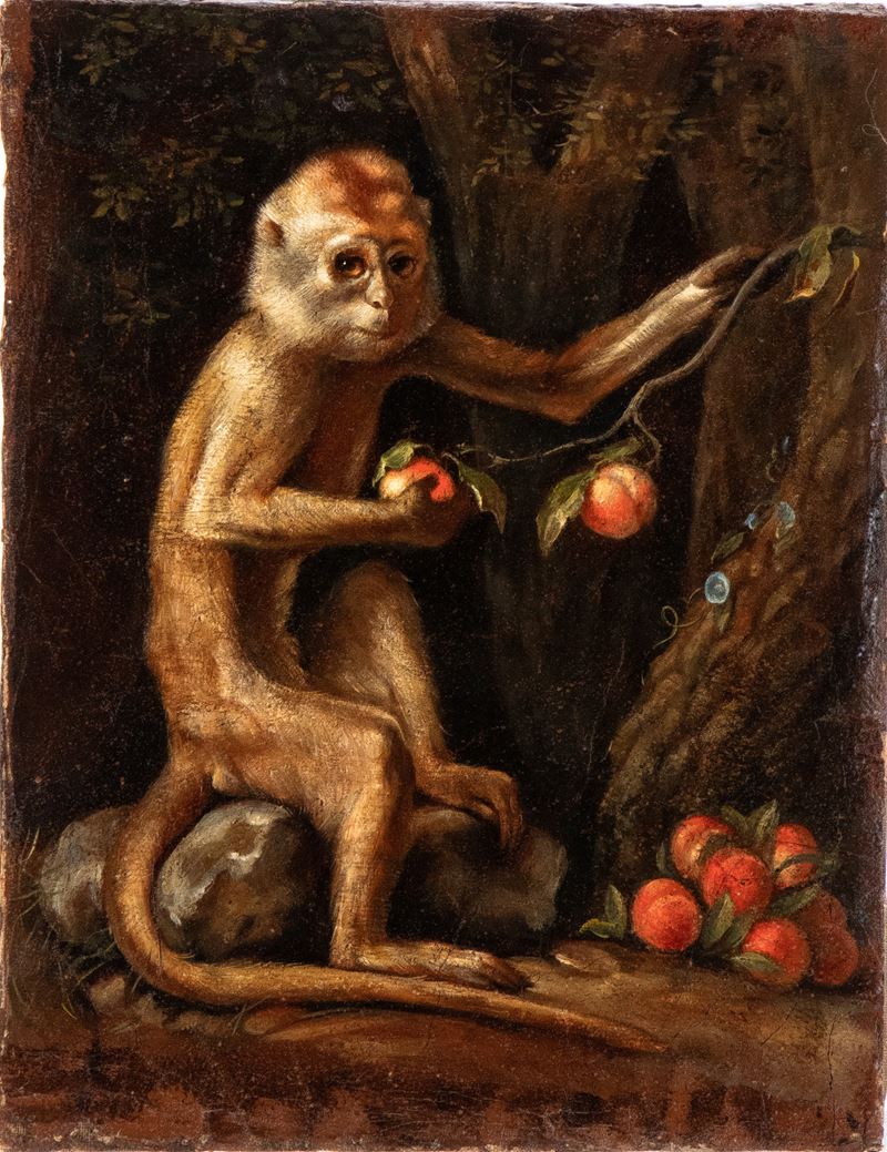 George Stubbs - Scimmietta con pesche, olio su tela, cm. 46x35,5, XIX secolo