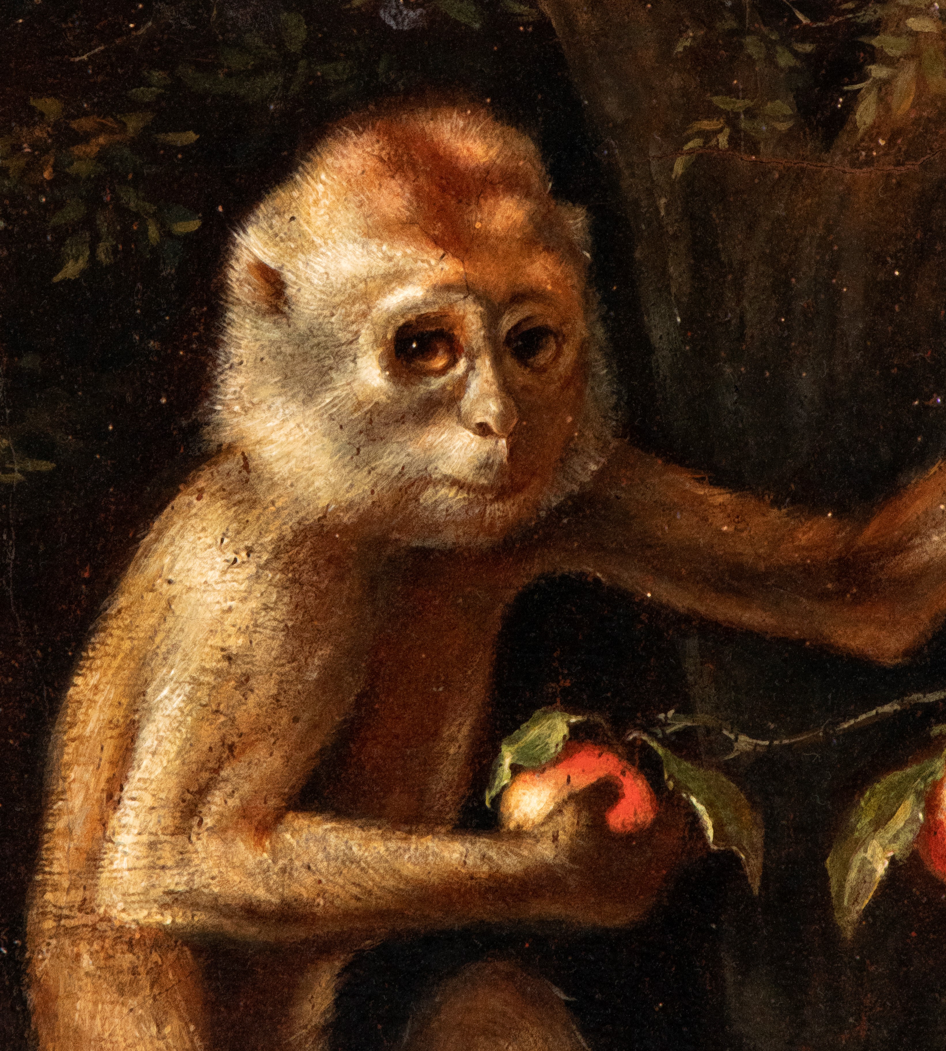George Stubbs - Scimmietta con pesche, olio su tela, cm. 46x35,5, XIX secolo