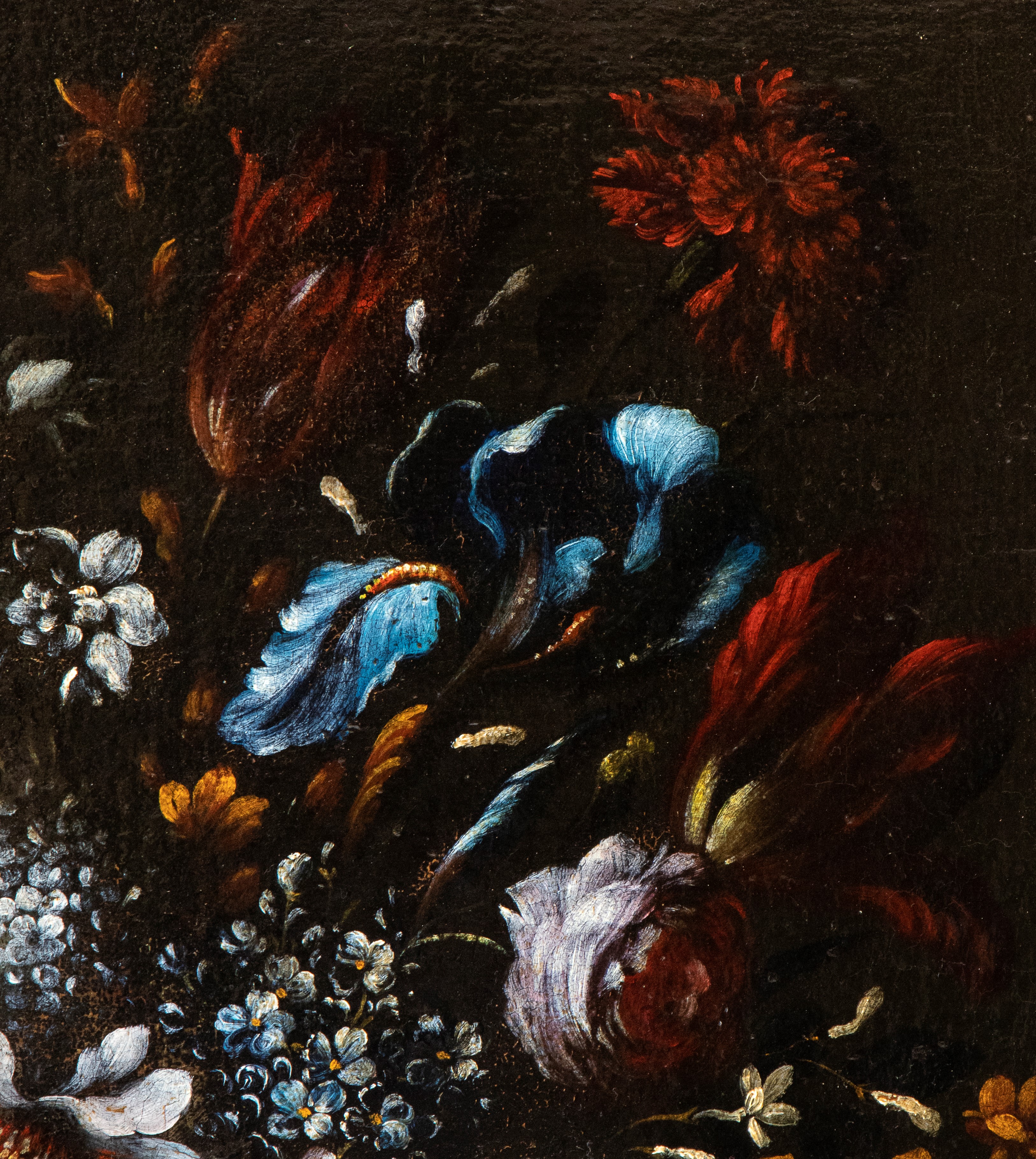 Artista Fiammingo, XVII Secolo - Bouquet di fiori, olio su tela