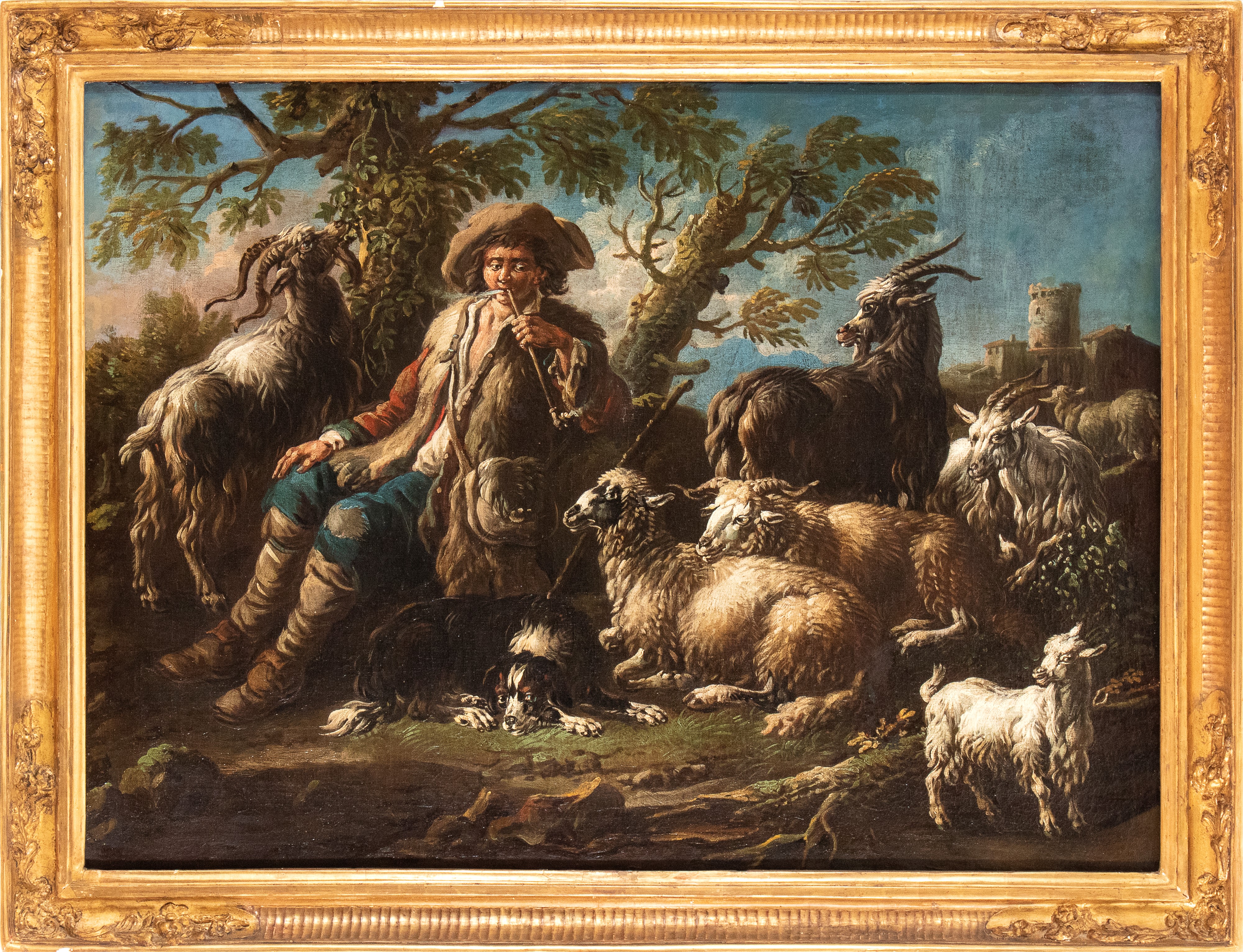 Gregge a riposo con pastore che fuma la pipa