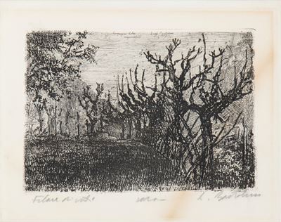 Filare di viti (Campagna dolce maceratese), acquaforte