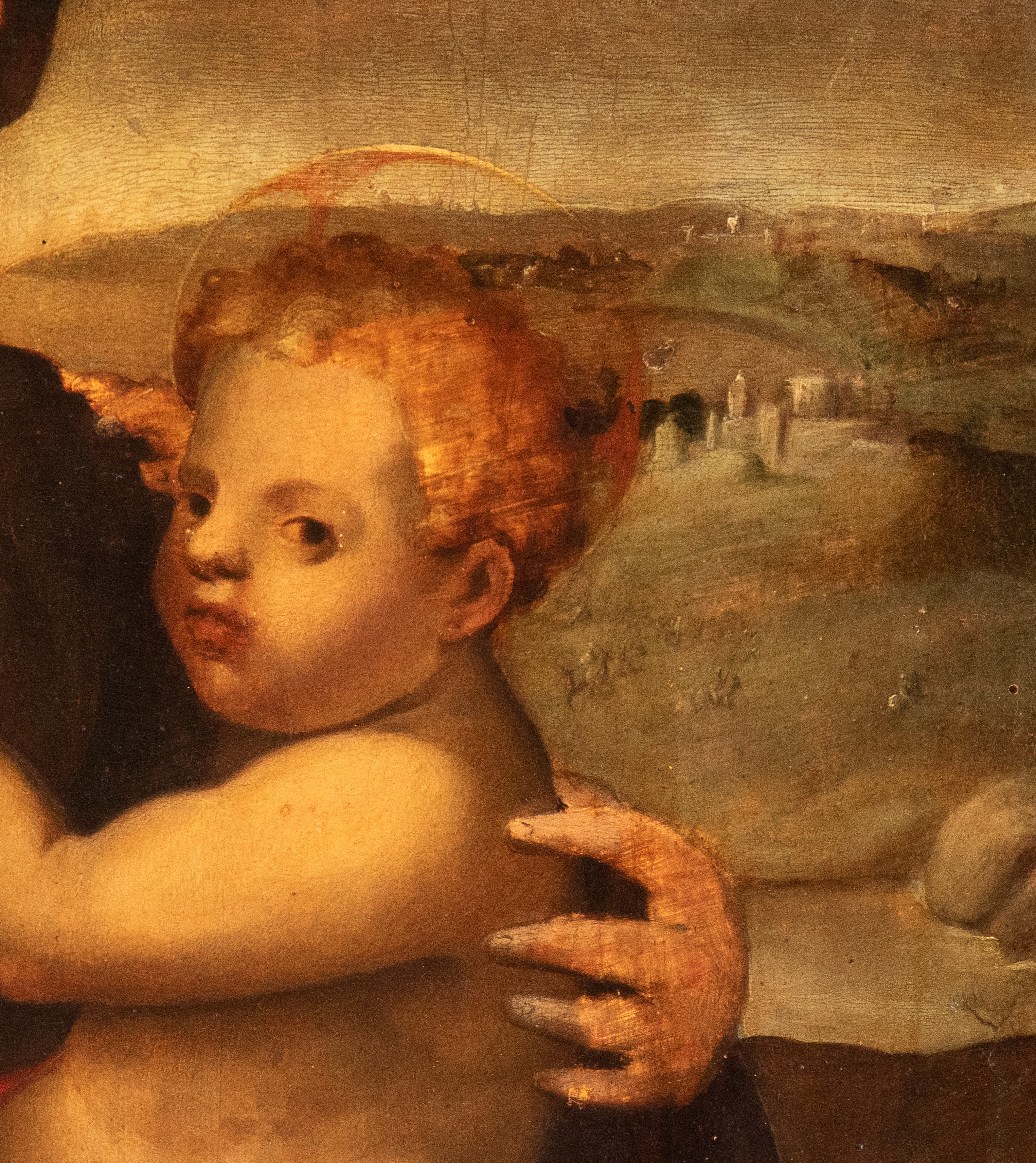Michele Tosini Detto Michele di Ridolfo del Ghirlandaio - Sacra Famiglia con San Giovannino, olio...