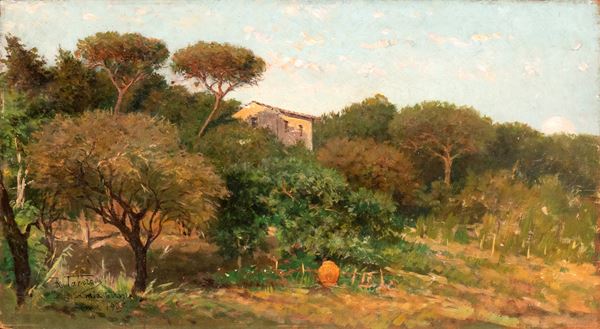 RAFFAELLO TANCREDI - Dalla mia terrazza