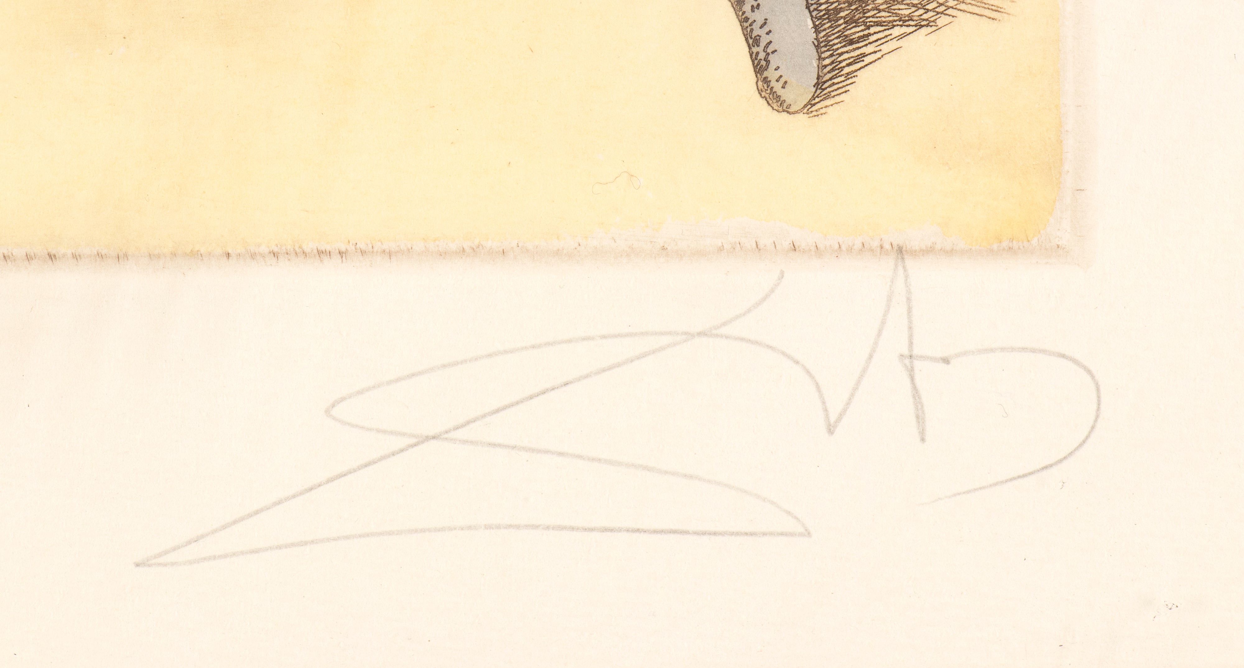 Salvador Dalí - Figures - Litografia
