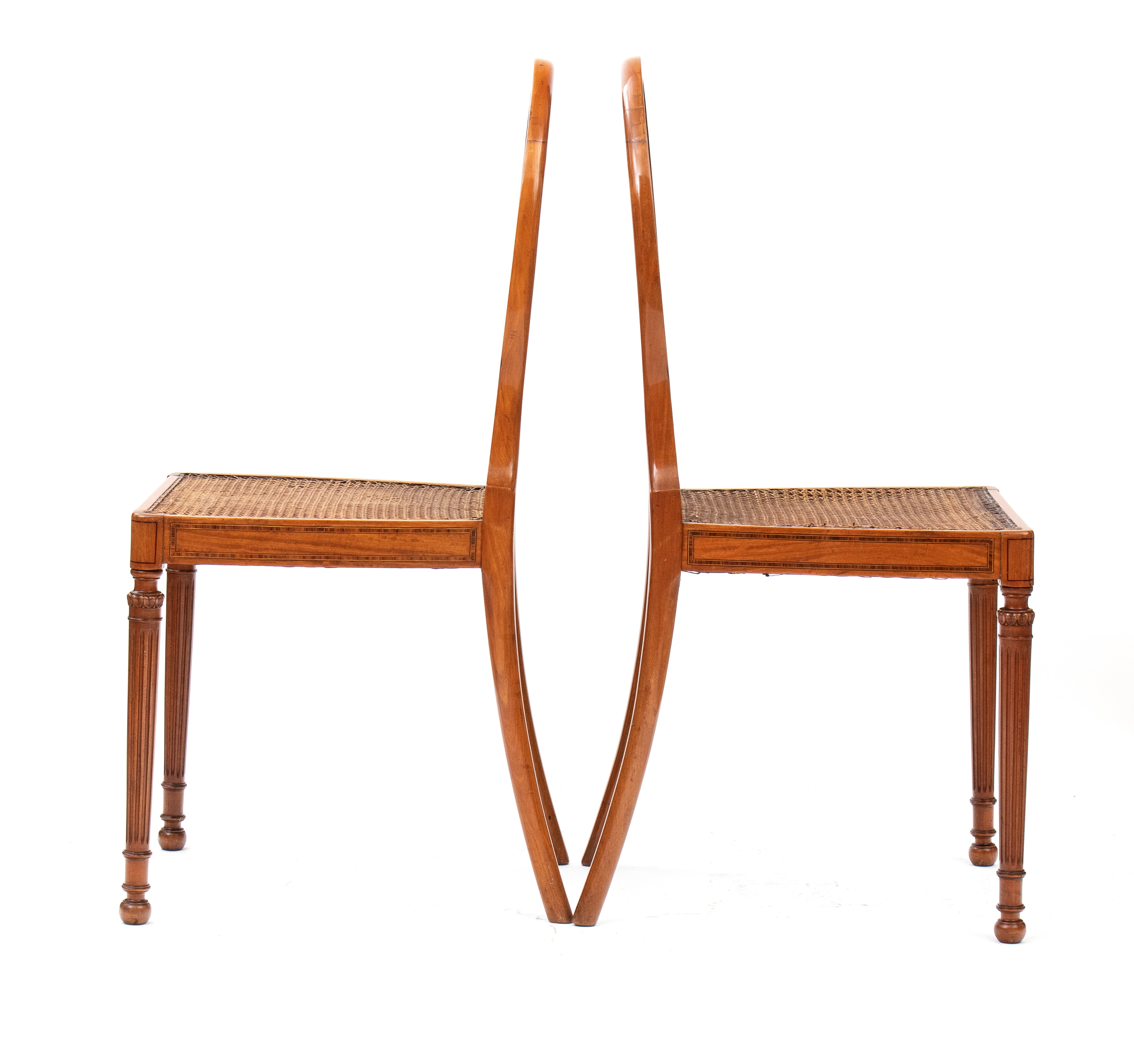 Coppia di sedie dipinte in stile Sheraton, legno di satinwood, XIX secolo