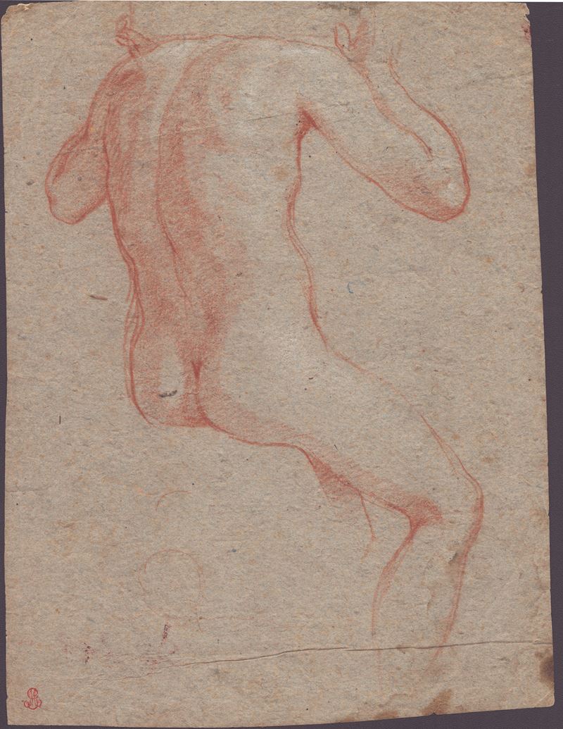 Scuola fiorentina del XVI-XVII secolo, Studio per un nudo di schiena