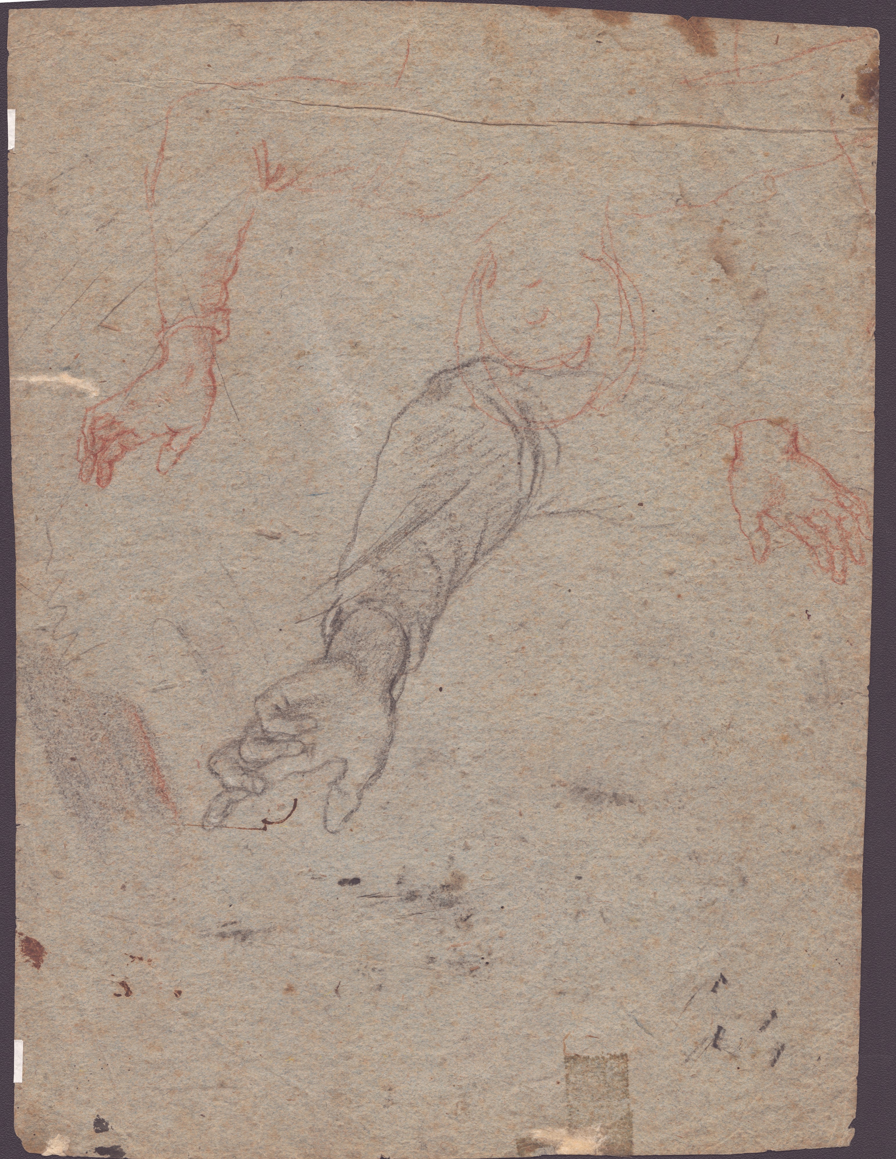 Scuola fiorentina del XVI-XVII secolo, Studio per un nudo di schiena