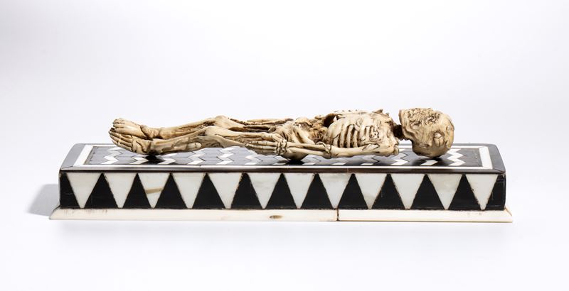 Scheletro in corno di cervo su base intarsiata