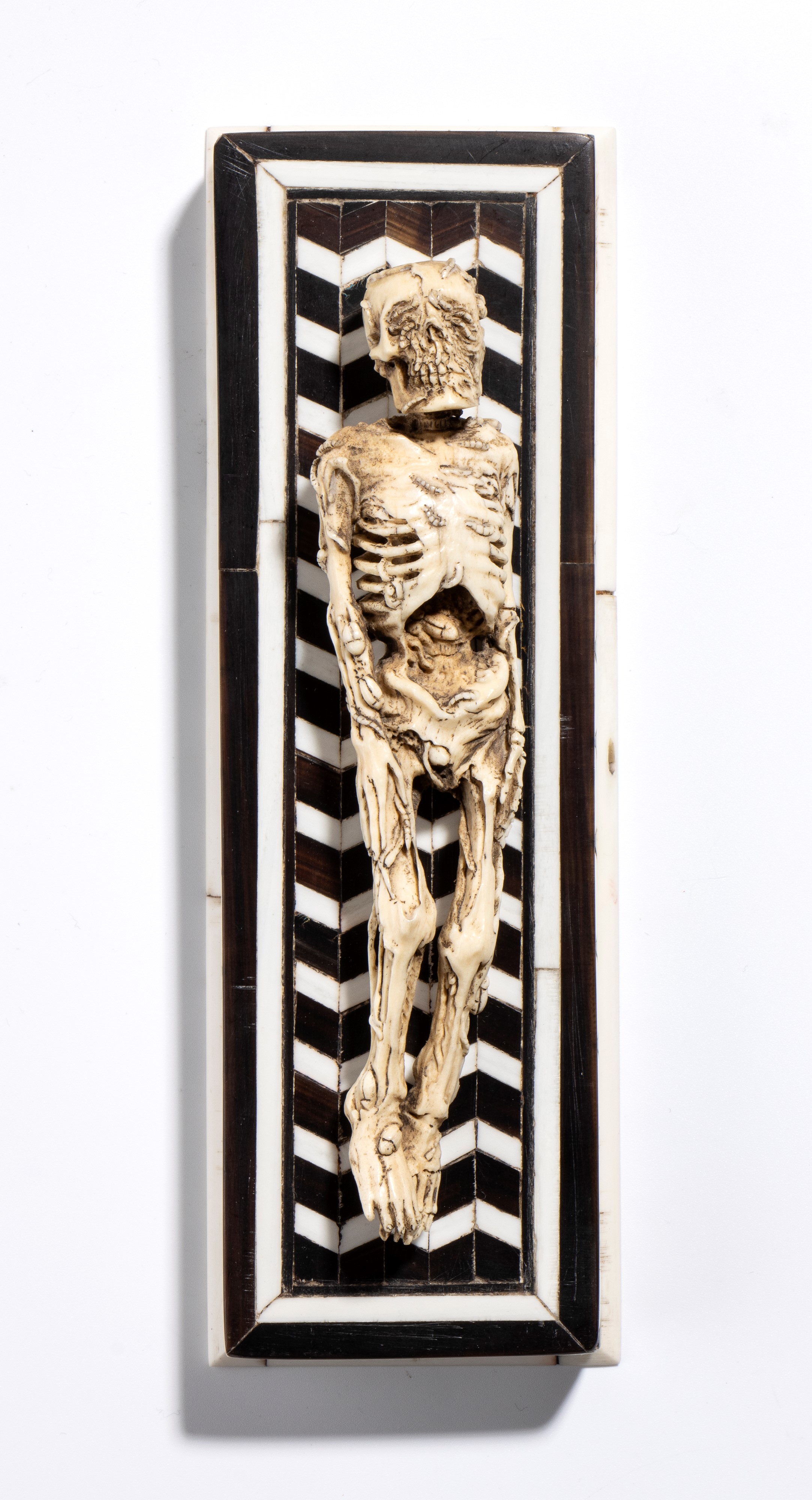 Scheletro in corno di cervo su base intarsiata