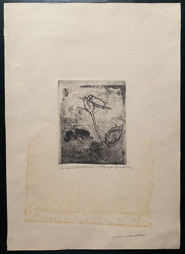 La rosa e il calabrone