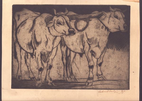 Two oxen | Two donkeys