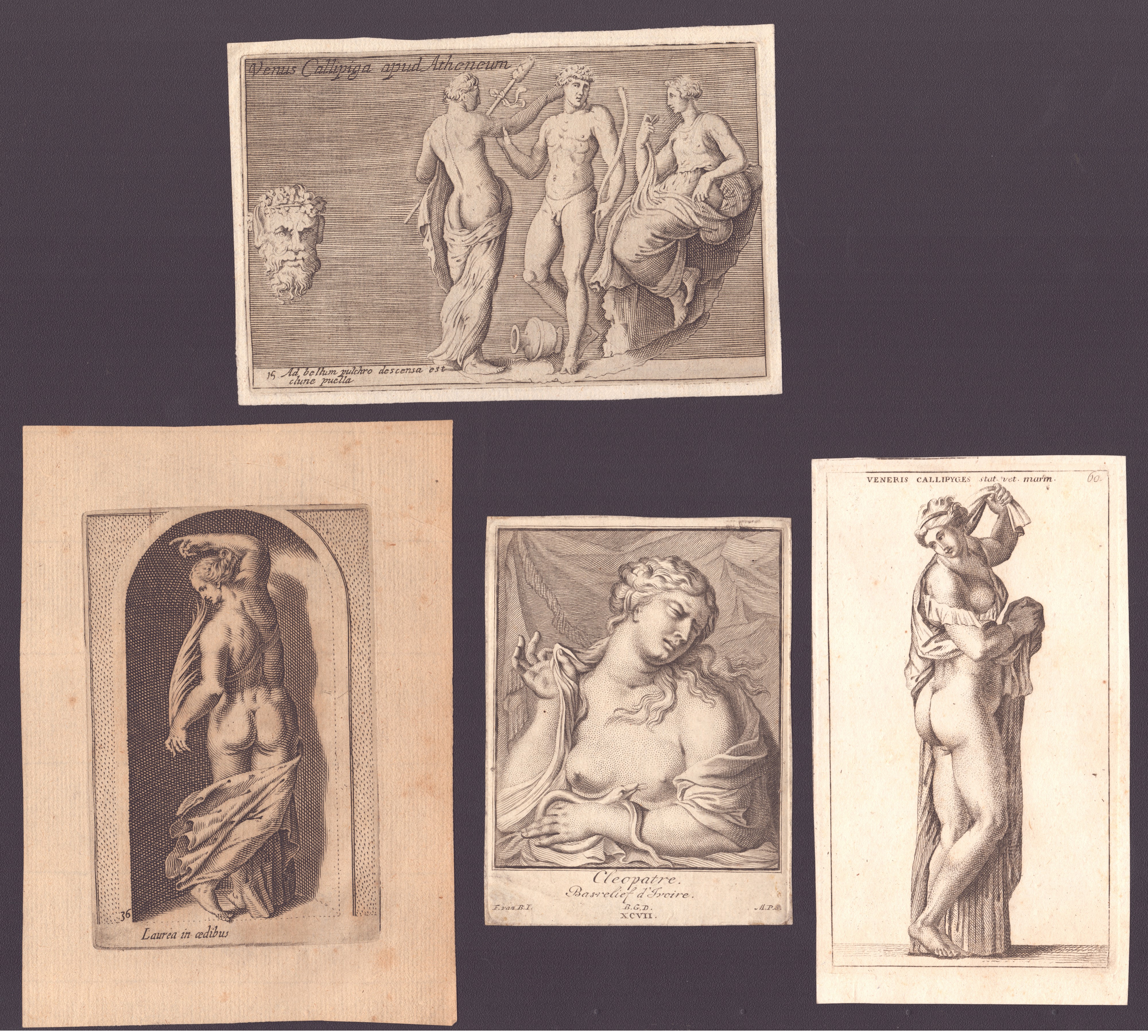 Enea Vico - Venere Callipigia apud Atheneum