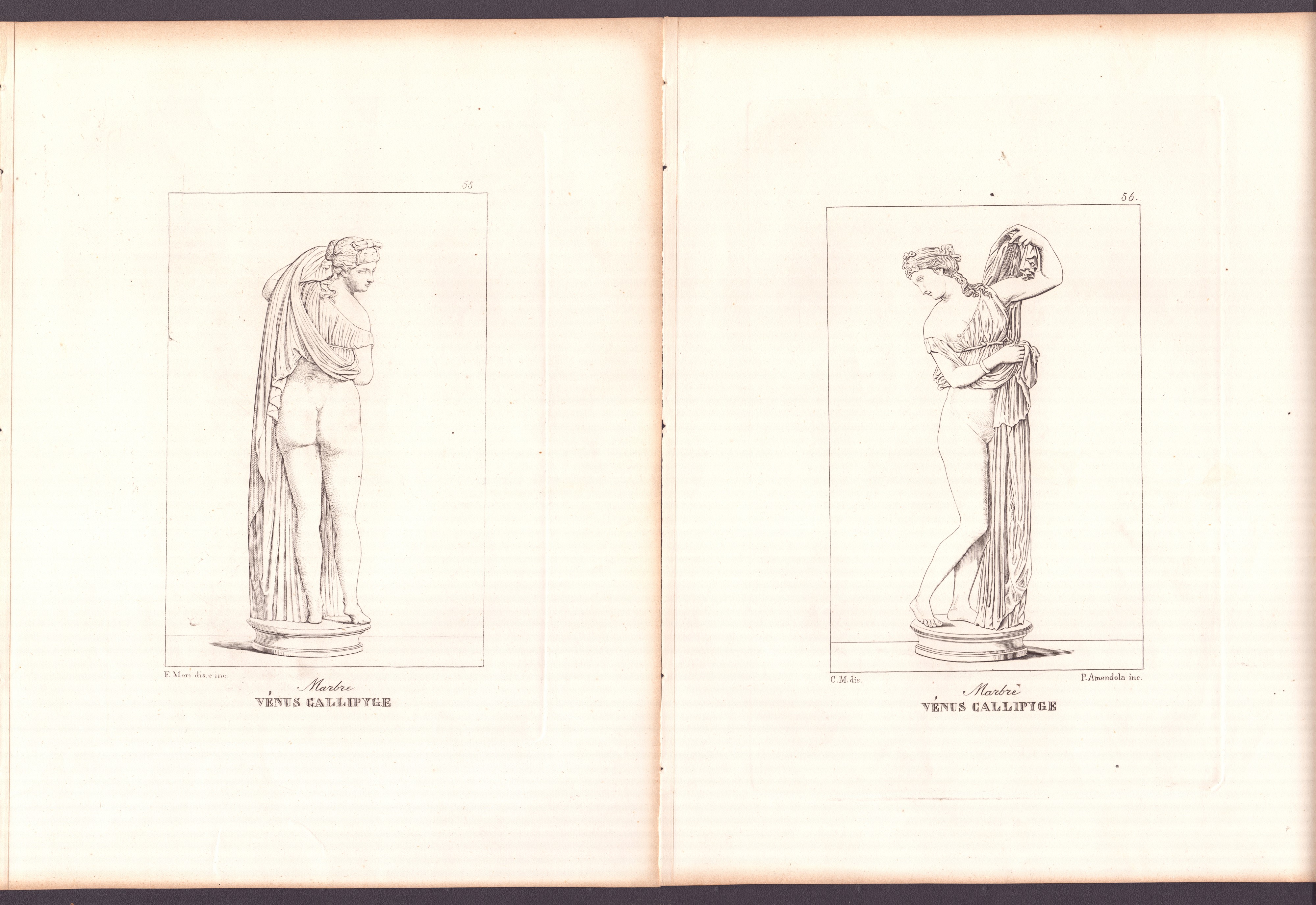 Enea Vico - Venere Callipigia apud Atheneum