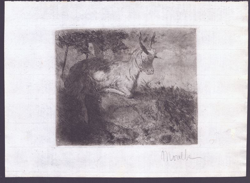 Domenico Morelli - Capretta - Acquaforte e acquatinta