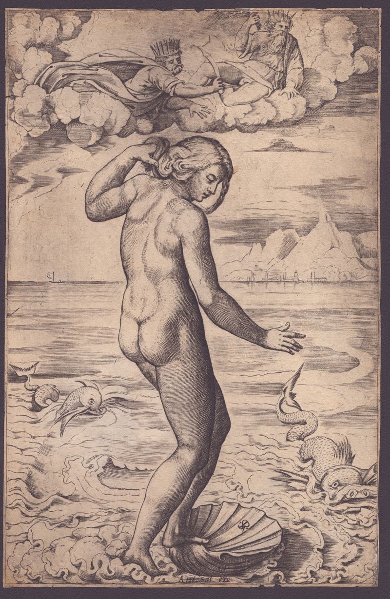 Marco Dente Detto Marco da Ravenna - La nascita di Venere, bulino, 265 x 171 mm