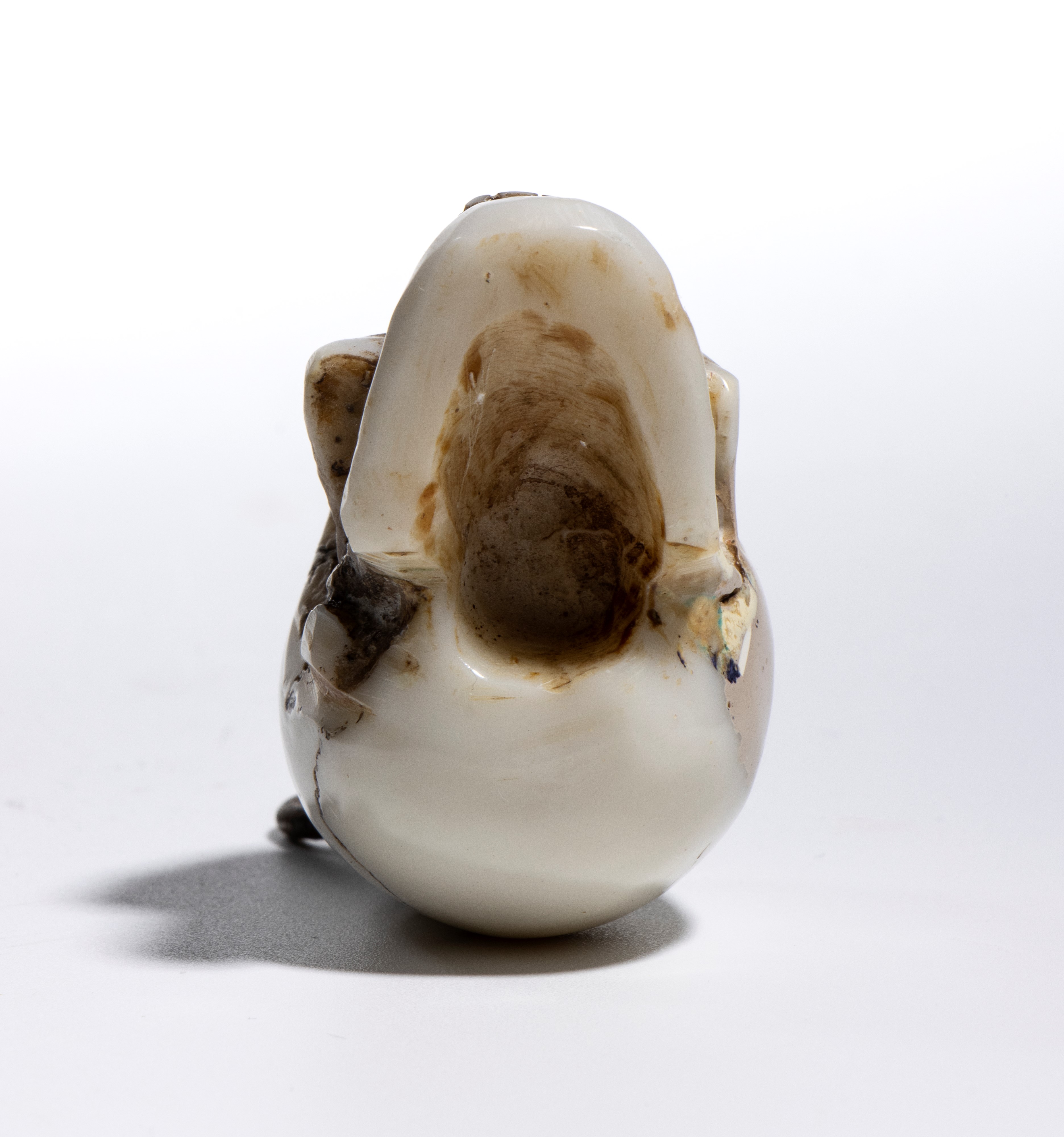 Teschio in avorio marino