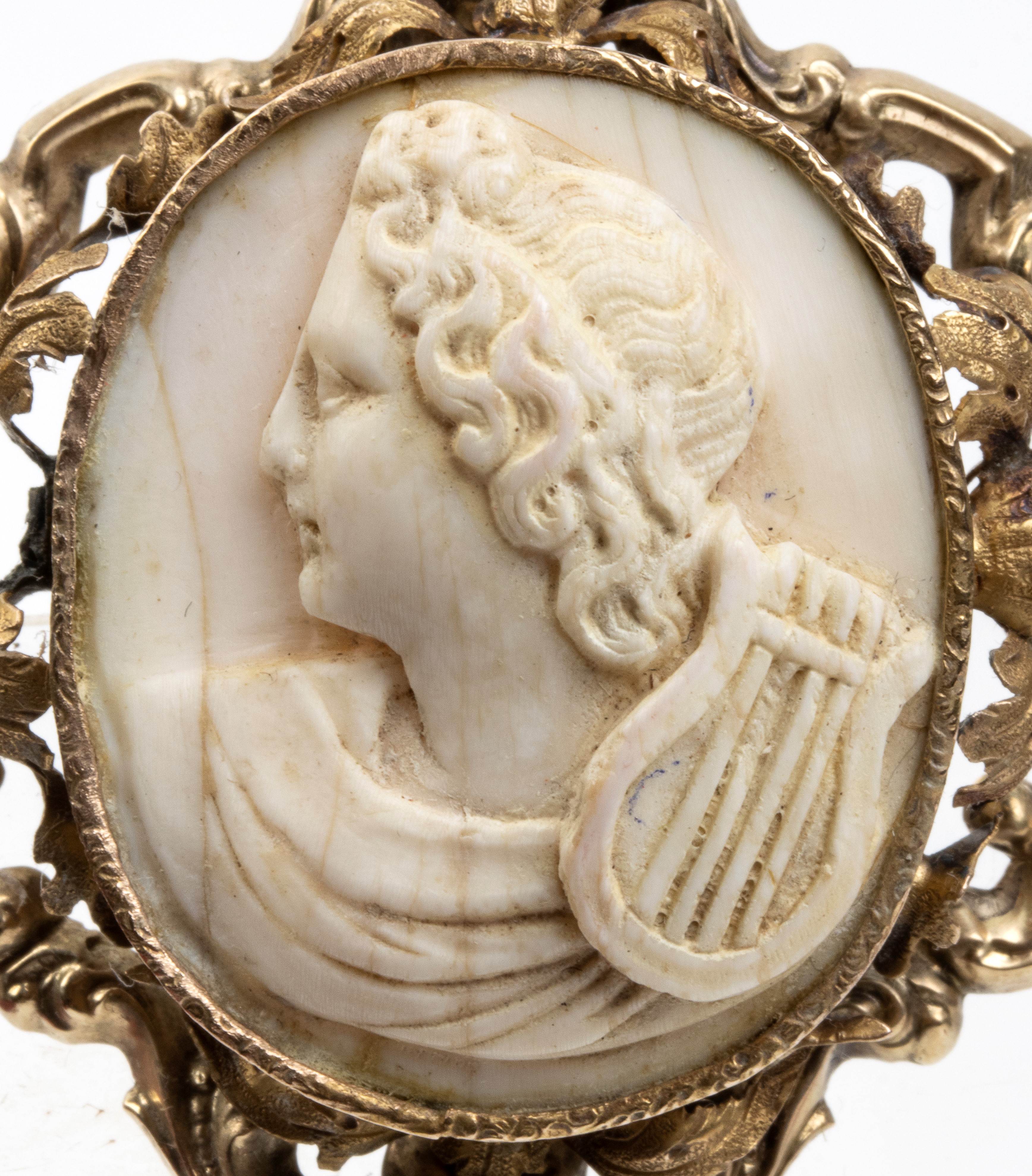 Spilla, fine XIX secolo, oro giallo con cammeo in conchiglia bianca