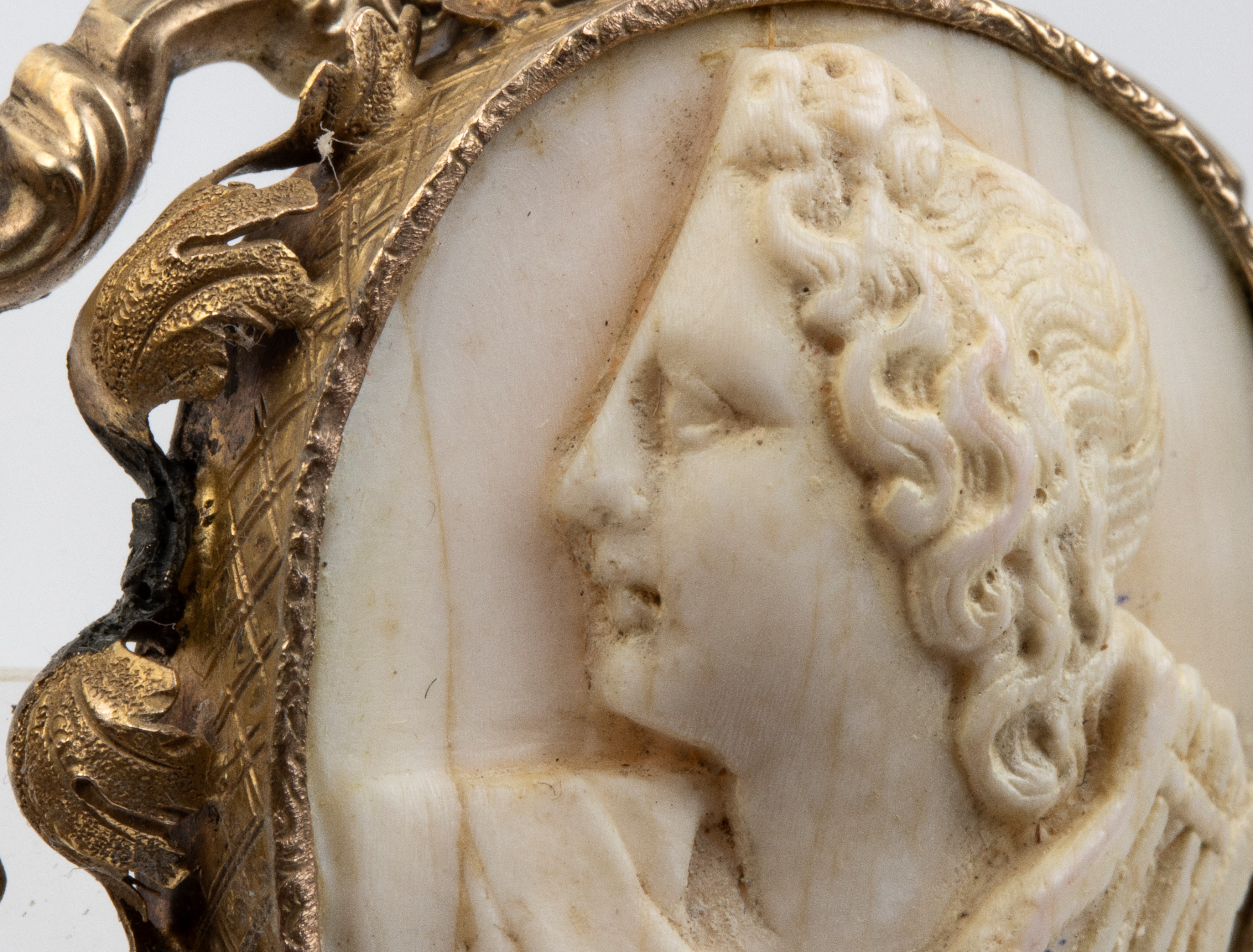 Spilla, fine XIX secolo, oro giallo con cammeo in conchiglia bianca