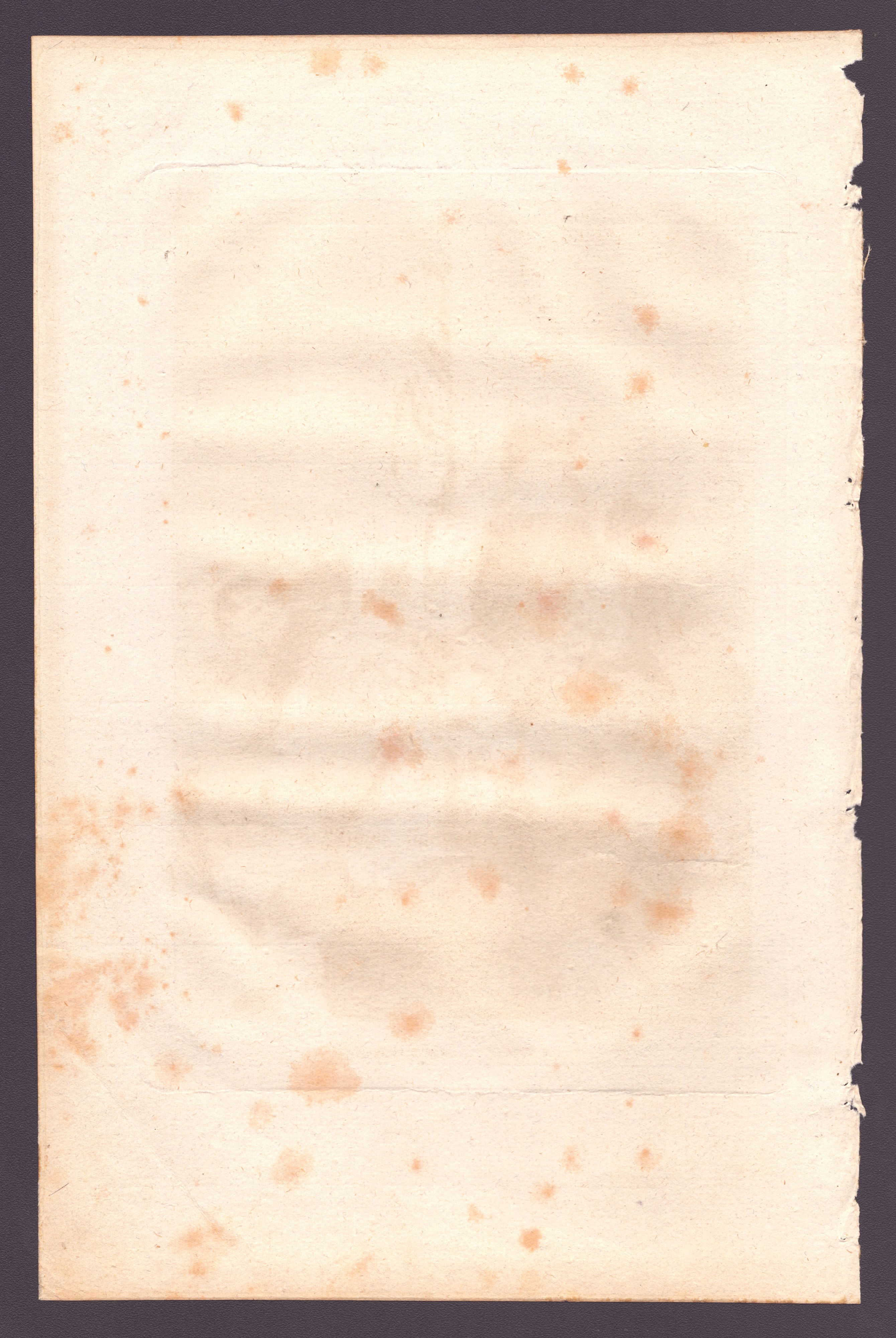 Francisco Goya - No hubo remedio