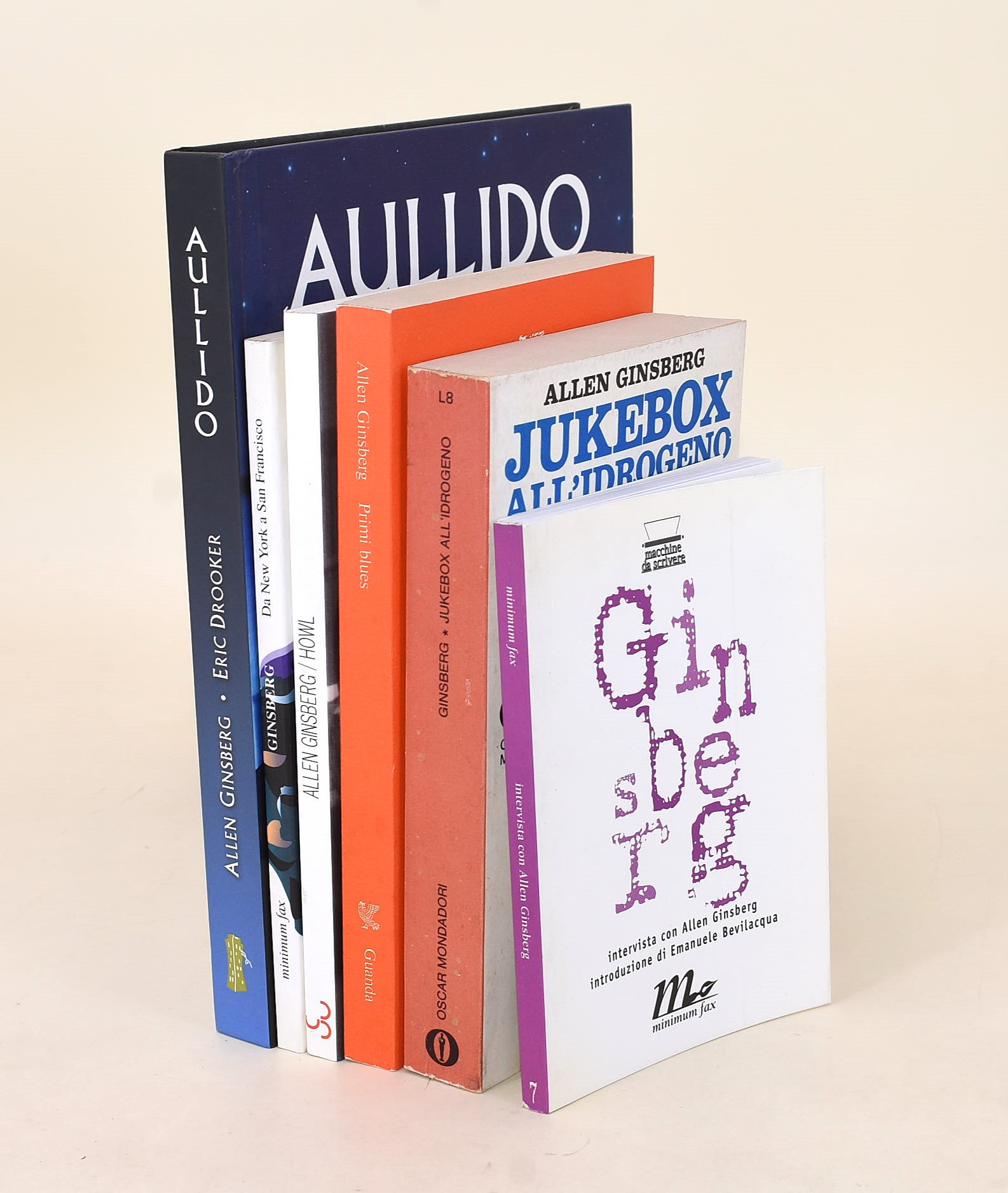 6 volumi di e su Allen Ginsberg