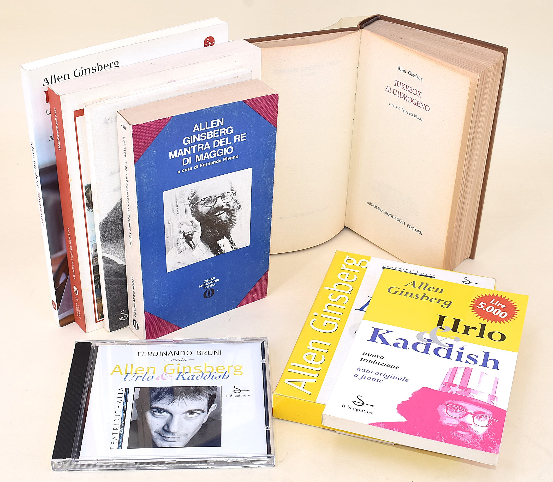 6 volumi di e su Allen Ginsberg