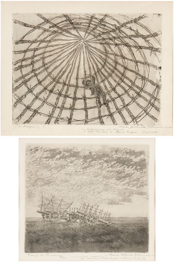 Spring Landscapes | The Spider