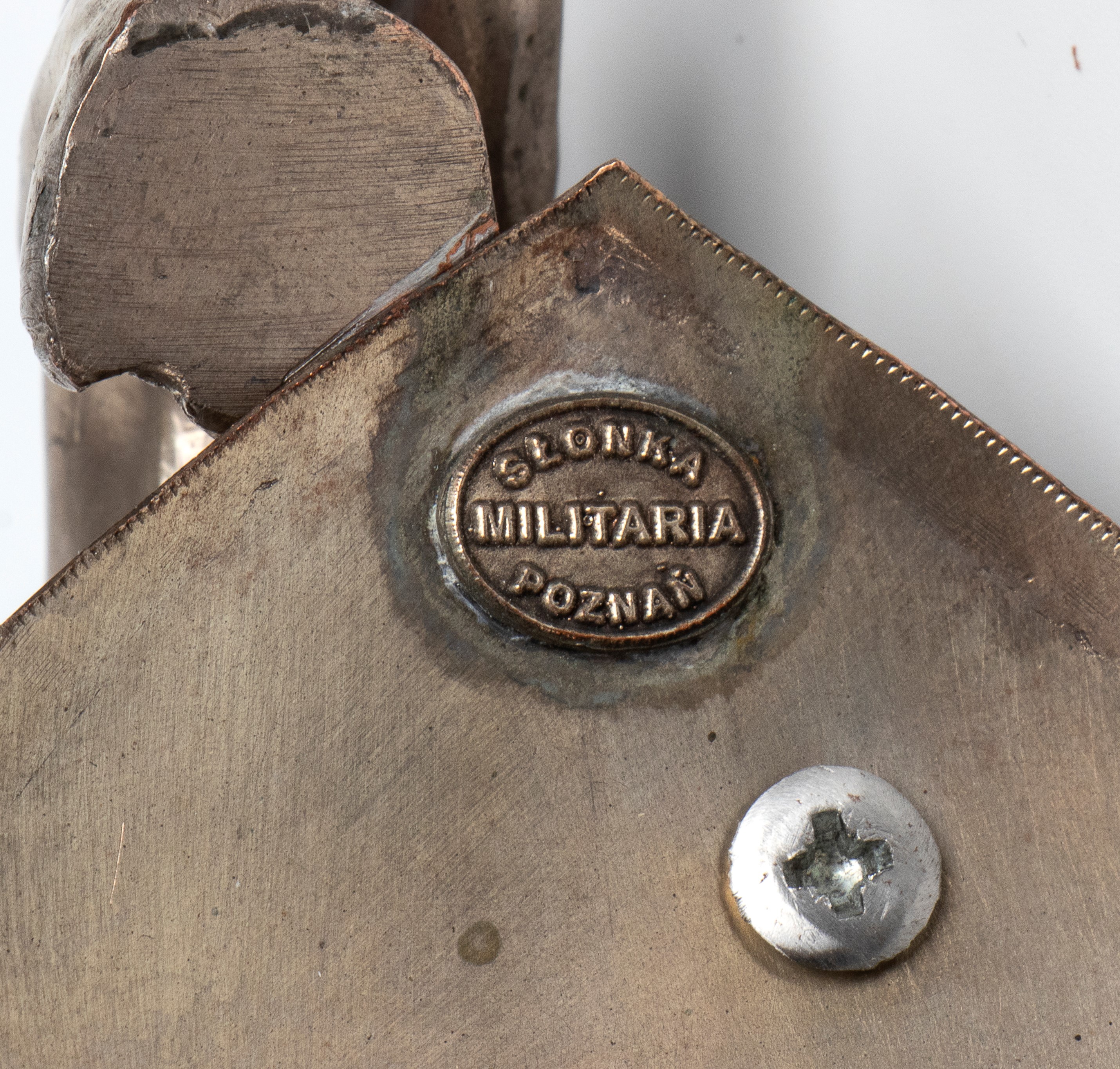 Sassonia, elmo Garde Reiter, con leone (copia)