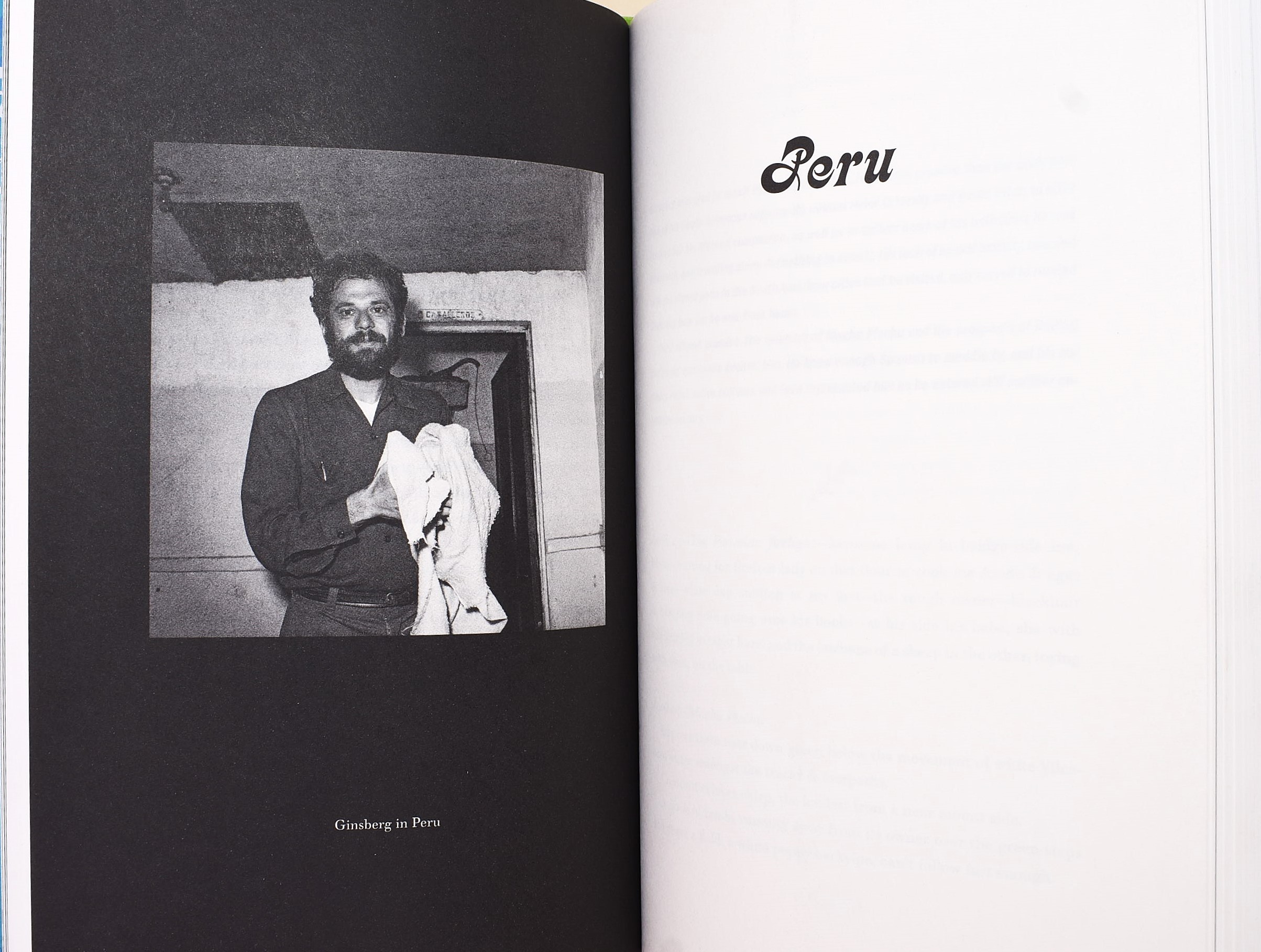 5 volumi di e su Allen Ginsberg in inglese