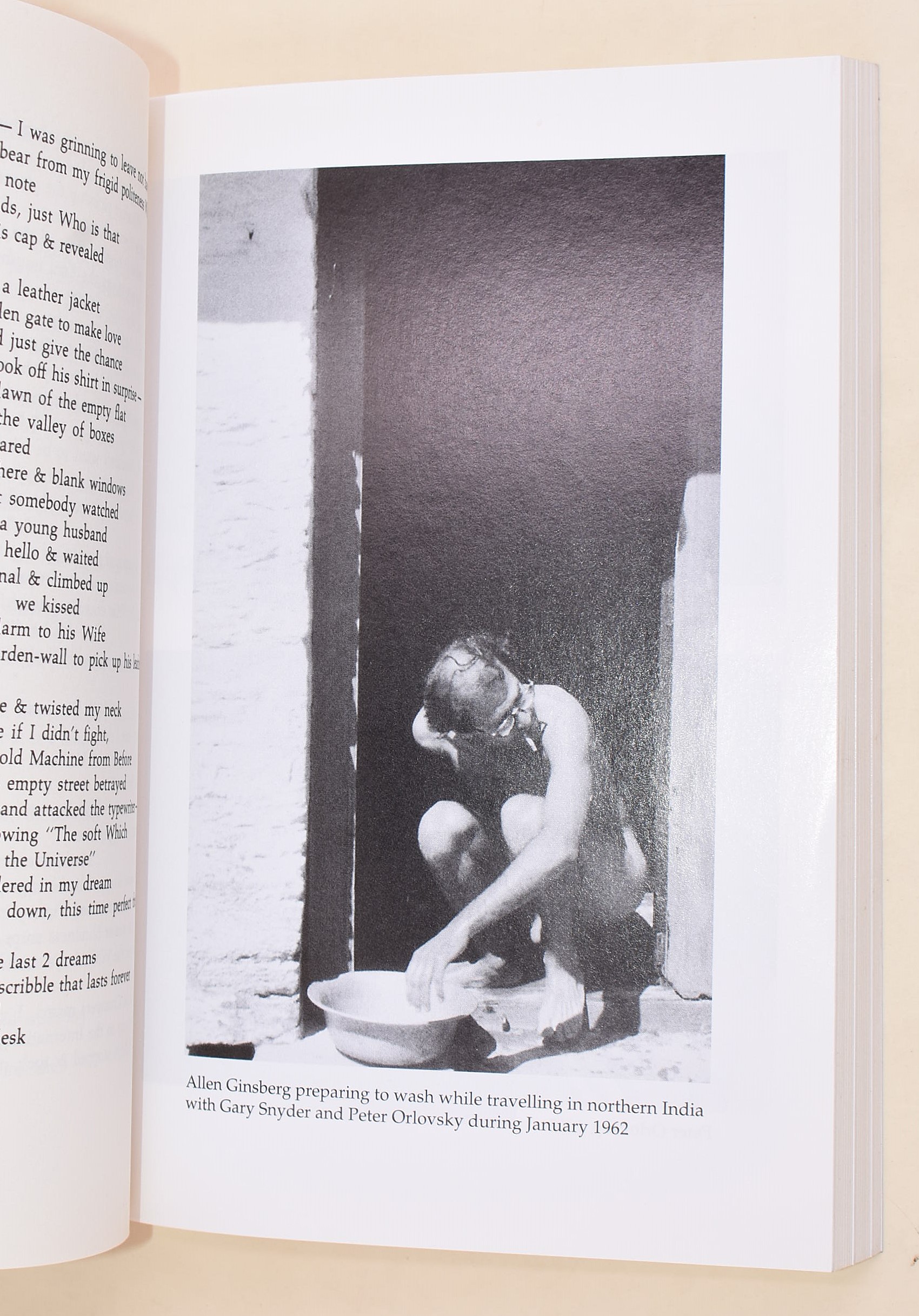 5 volumi su e di Allen Ginsberg in inglese