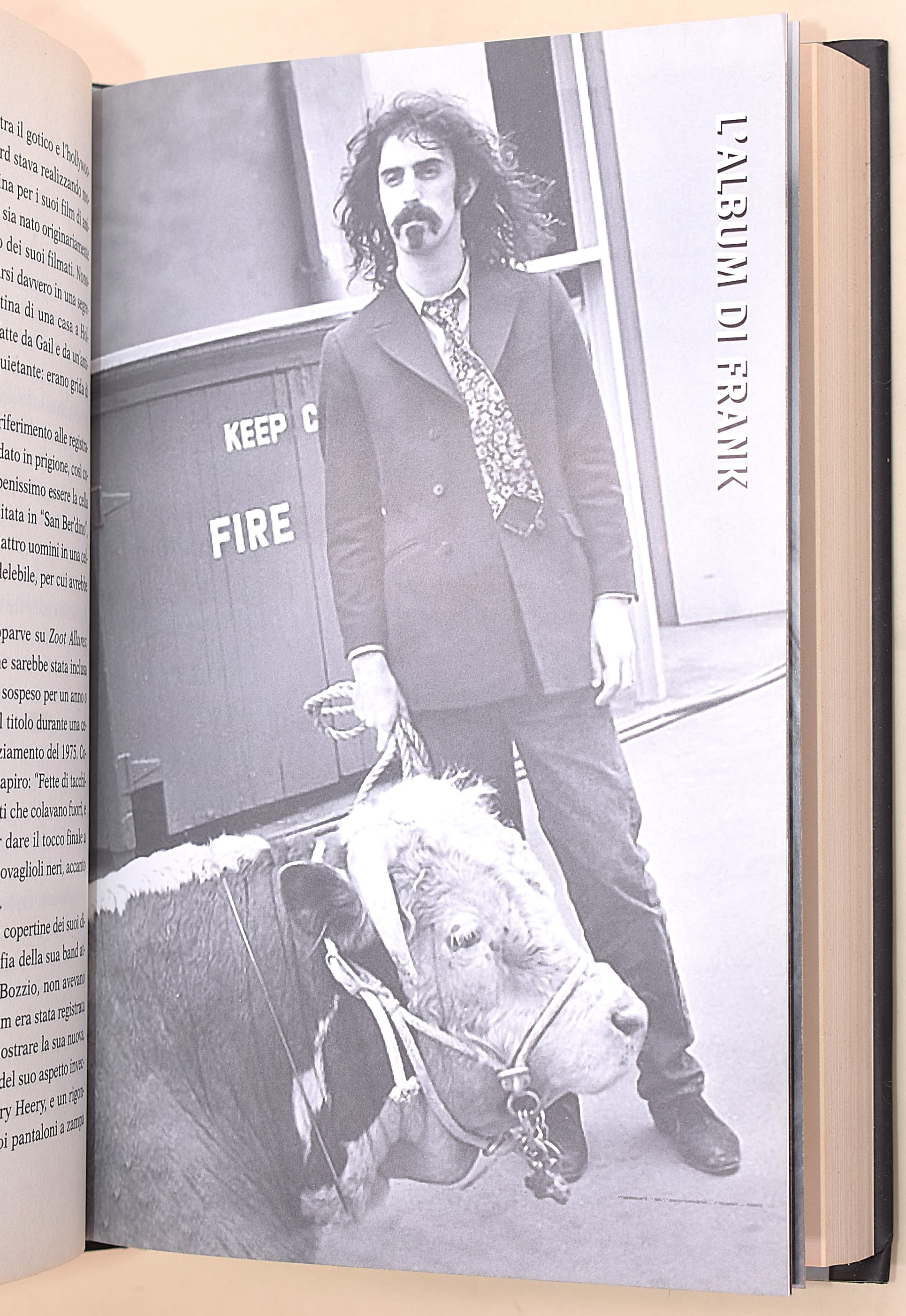 8 volumi su Frank Zappa