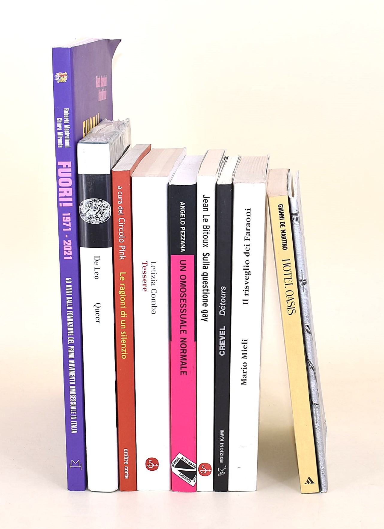 Raccolta di 10 volumi sulla cultura e politica LGBTQIA+
