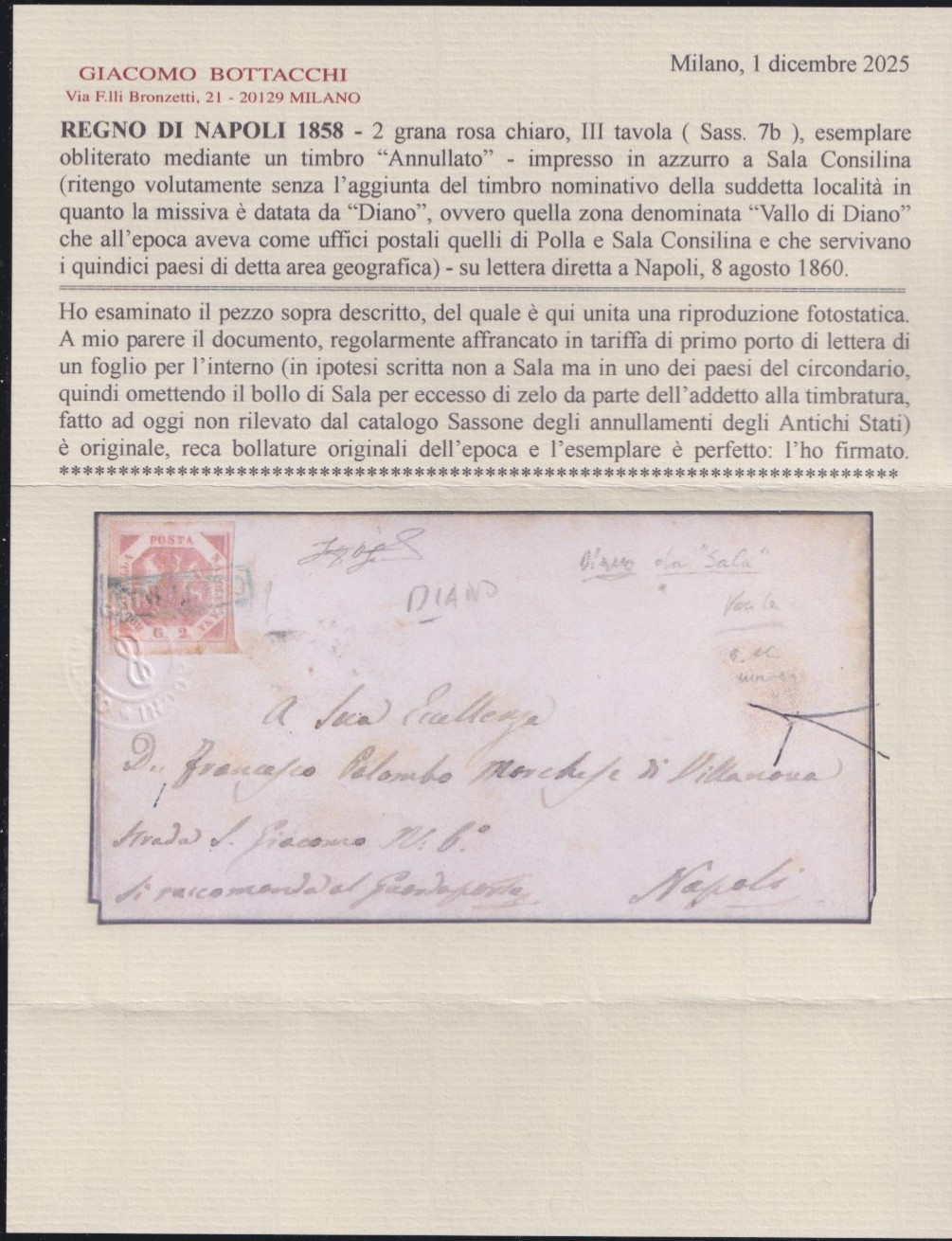 Francobollo, 2 gr. III tav. rosa chiaro (Napoli, annullamento da Sala Consilina) su lettera del 0...