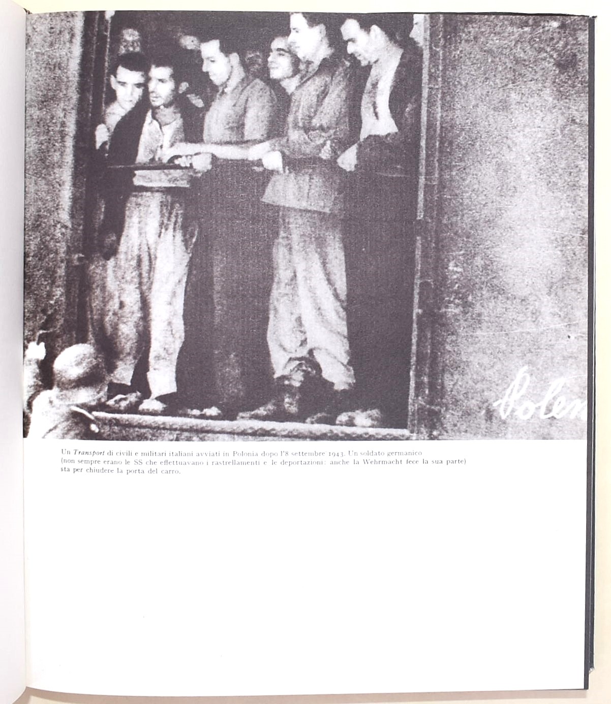 Domenico Tarizzo (a cura di), Ideologia della morte. Storia e documenti dei campi di sterminio e ...