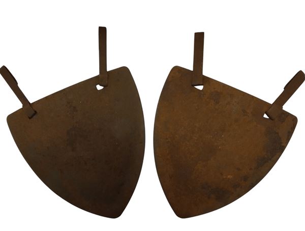 France, Lippmann protections