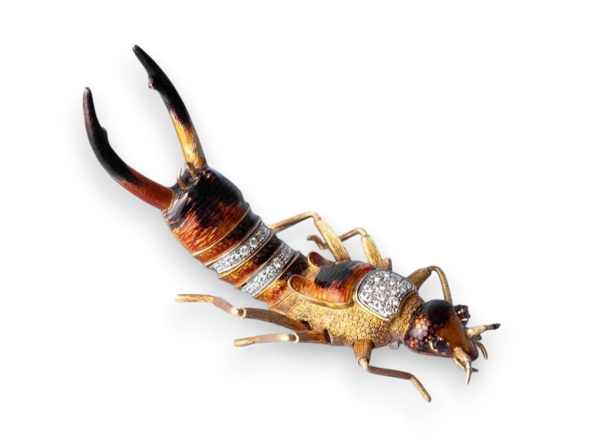 Piero Barberis - Spilla a forma di Forficula auricularia in oro 18k, smalti e diamanti