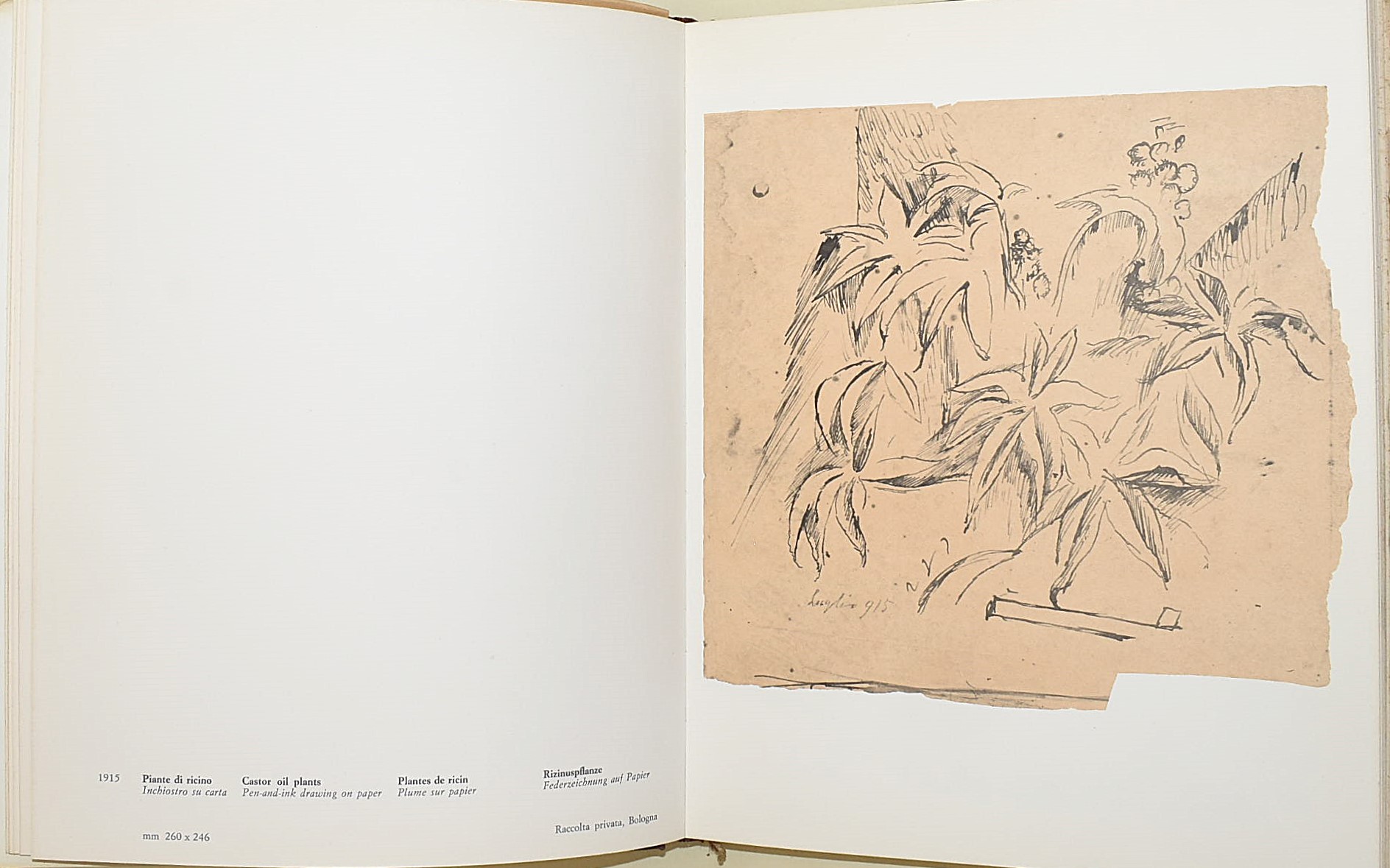 Morandi, Disegni e Testi di Giulio Carlo Argan e Franco Basile, Volumi I e II
