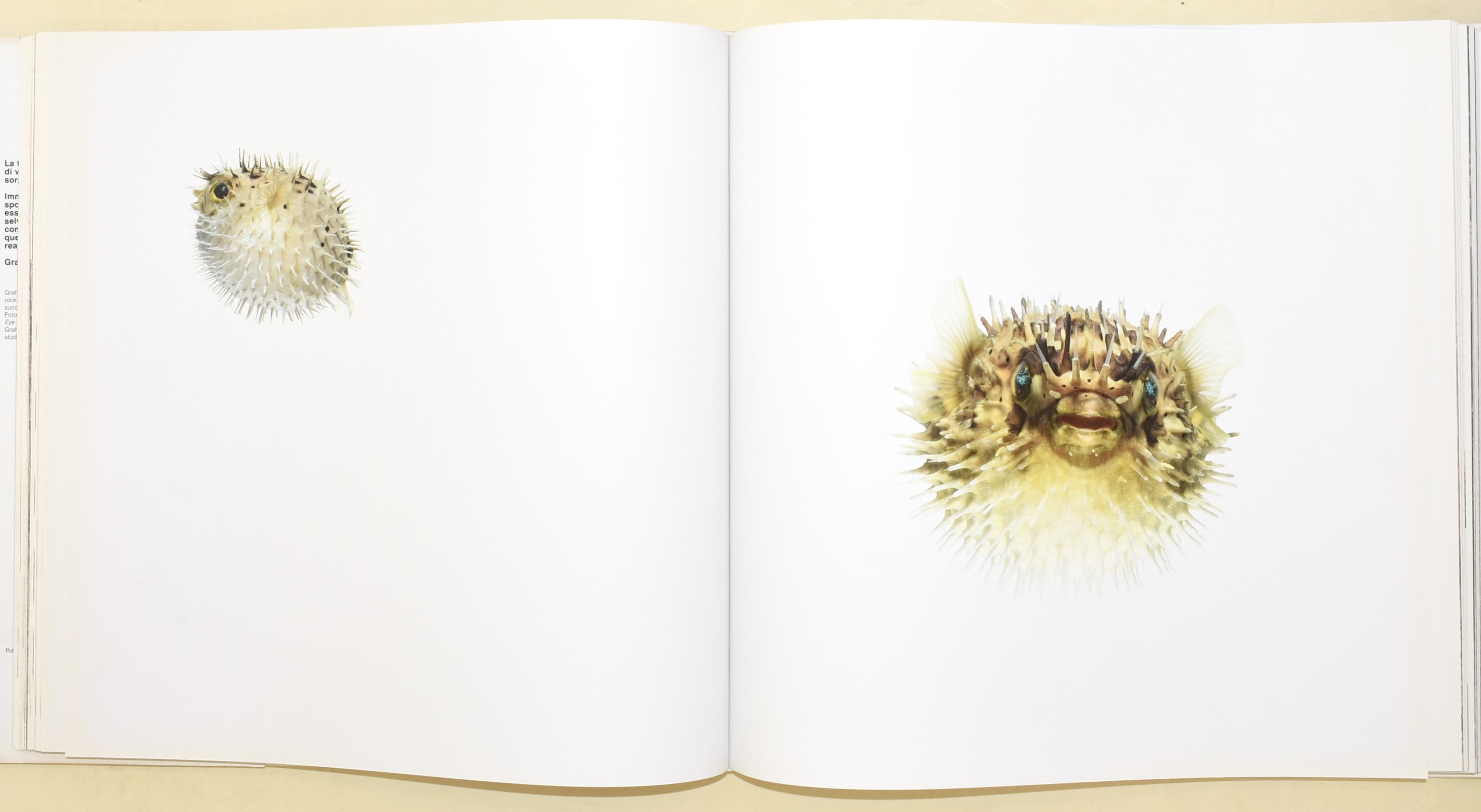 Zuckerman, Andrew, Creature (2007), Edizione illustrata
