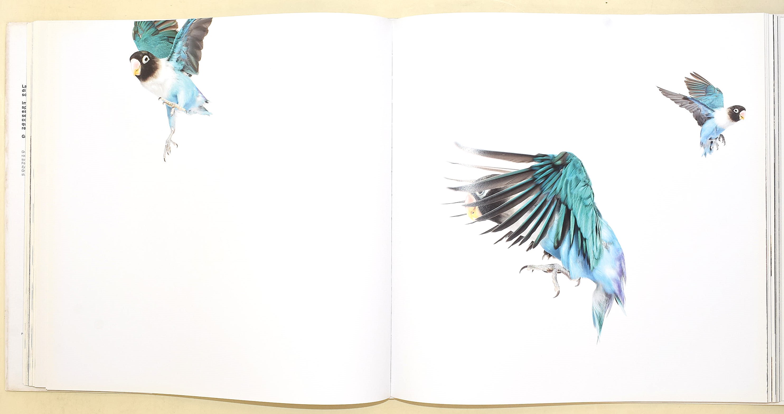 Zuckerman, Andrew, Creature (2007), Edizione illustrata
