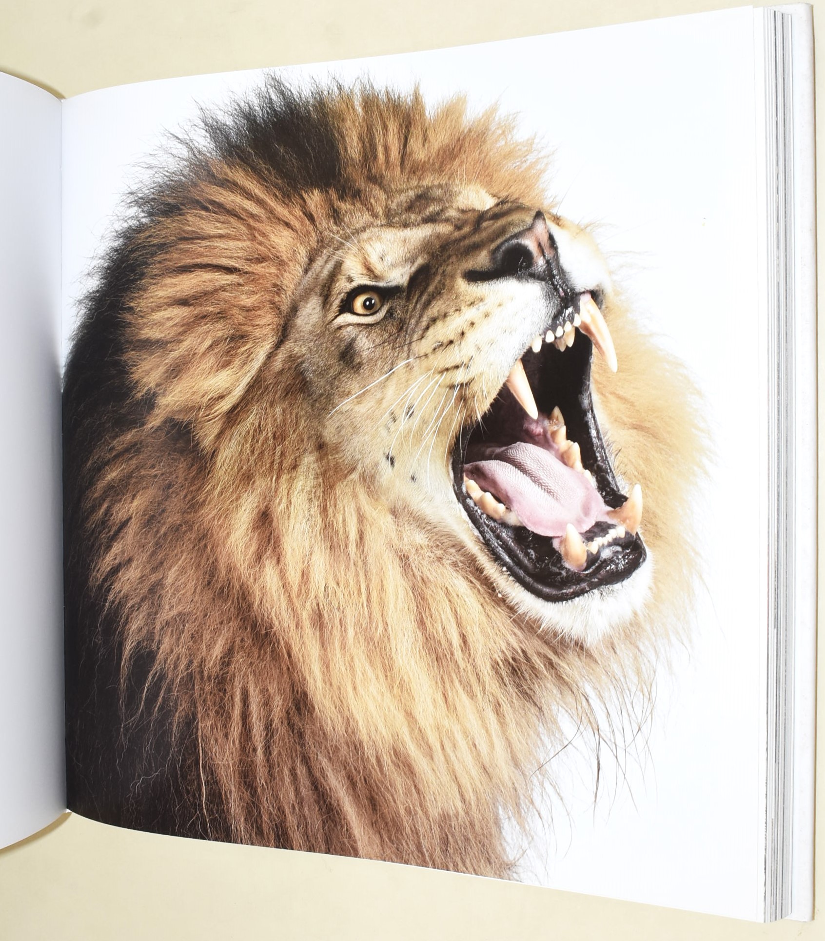 Zuckerman, Andrew, Creature (2007), Edizione illustrata