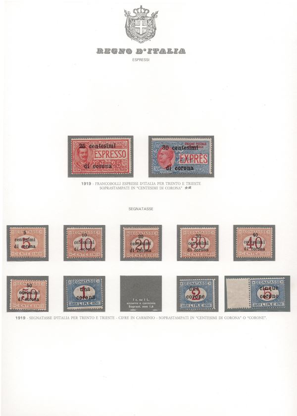 Regno - Occupazioni le seire di Venezia Giulia, Venezia Tridentina e di Trento e Trieste