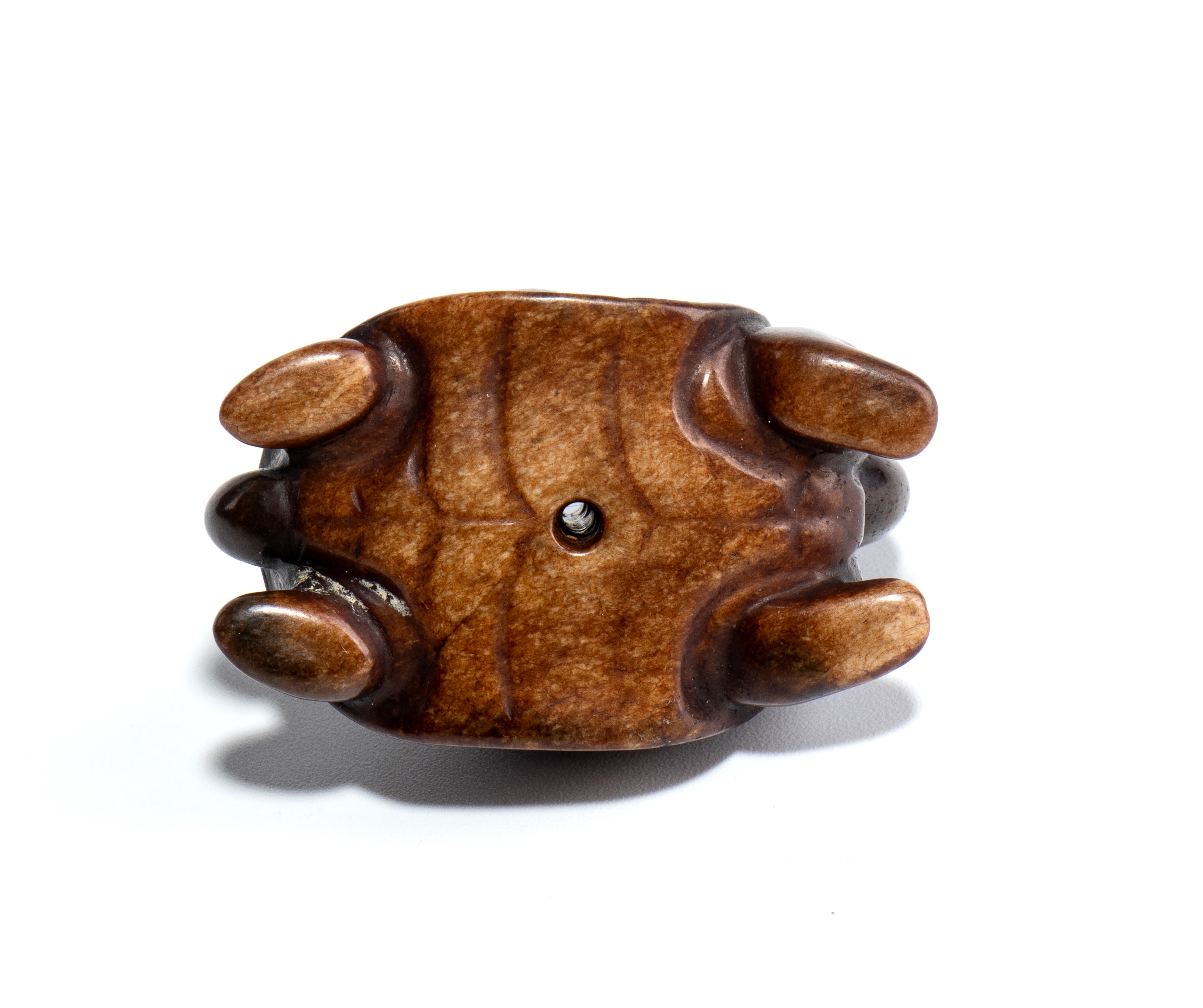 Intaglio in giada, raffigurante una tartaruga, Cina, fine dinastia Qing-periodo Repubblica