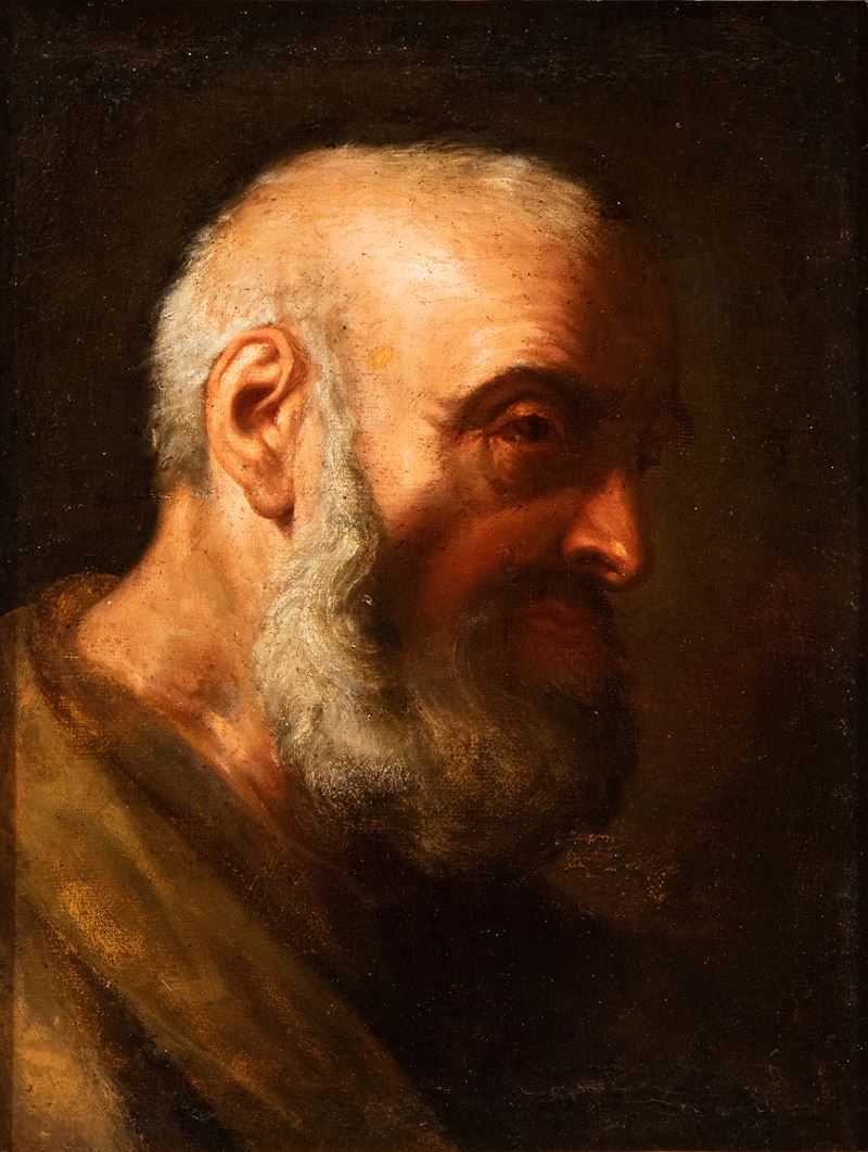 Testa di uomo con barba