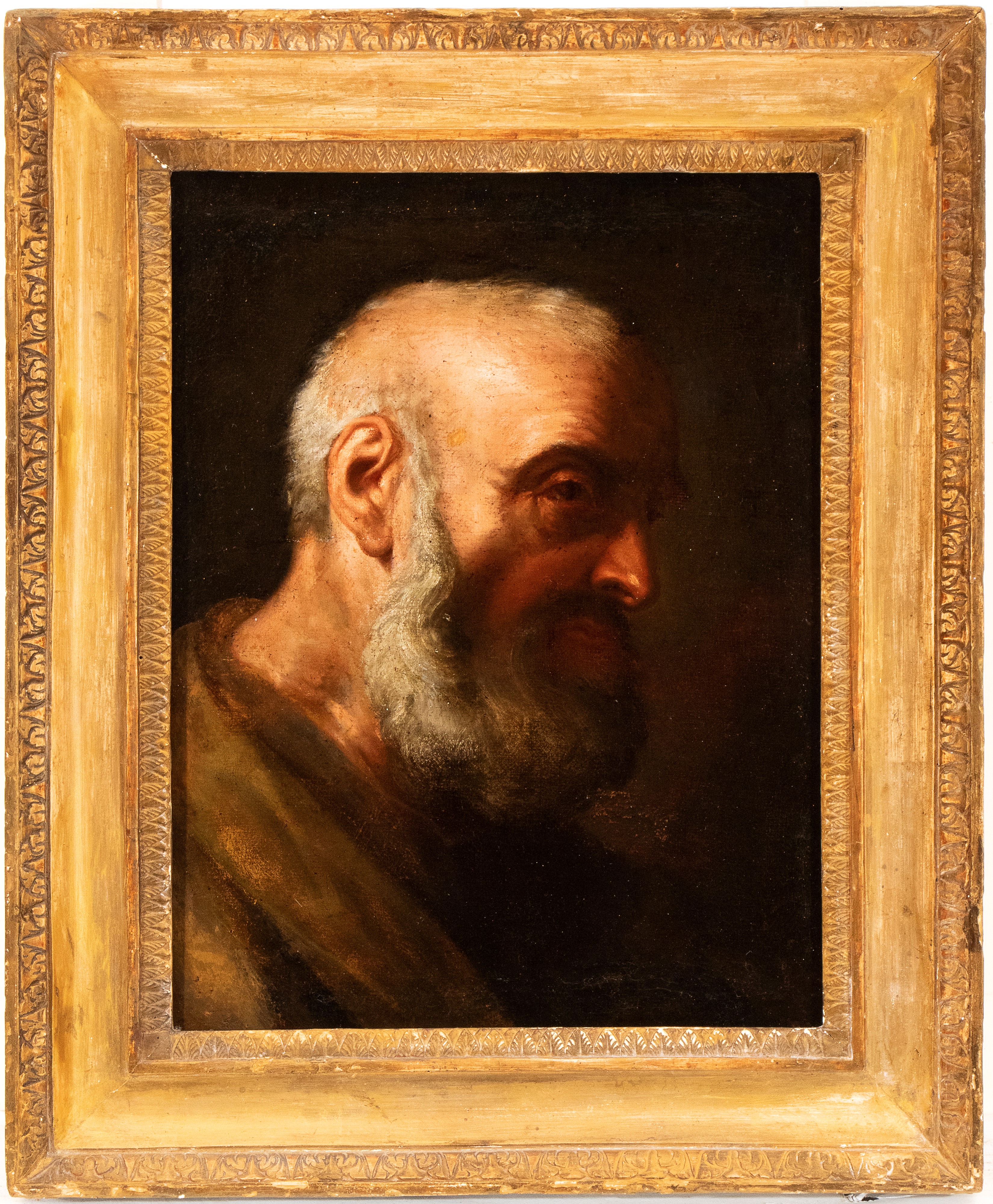 Testa di uomo con barba