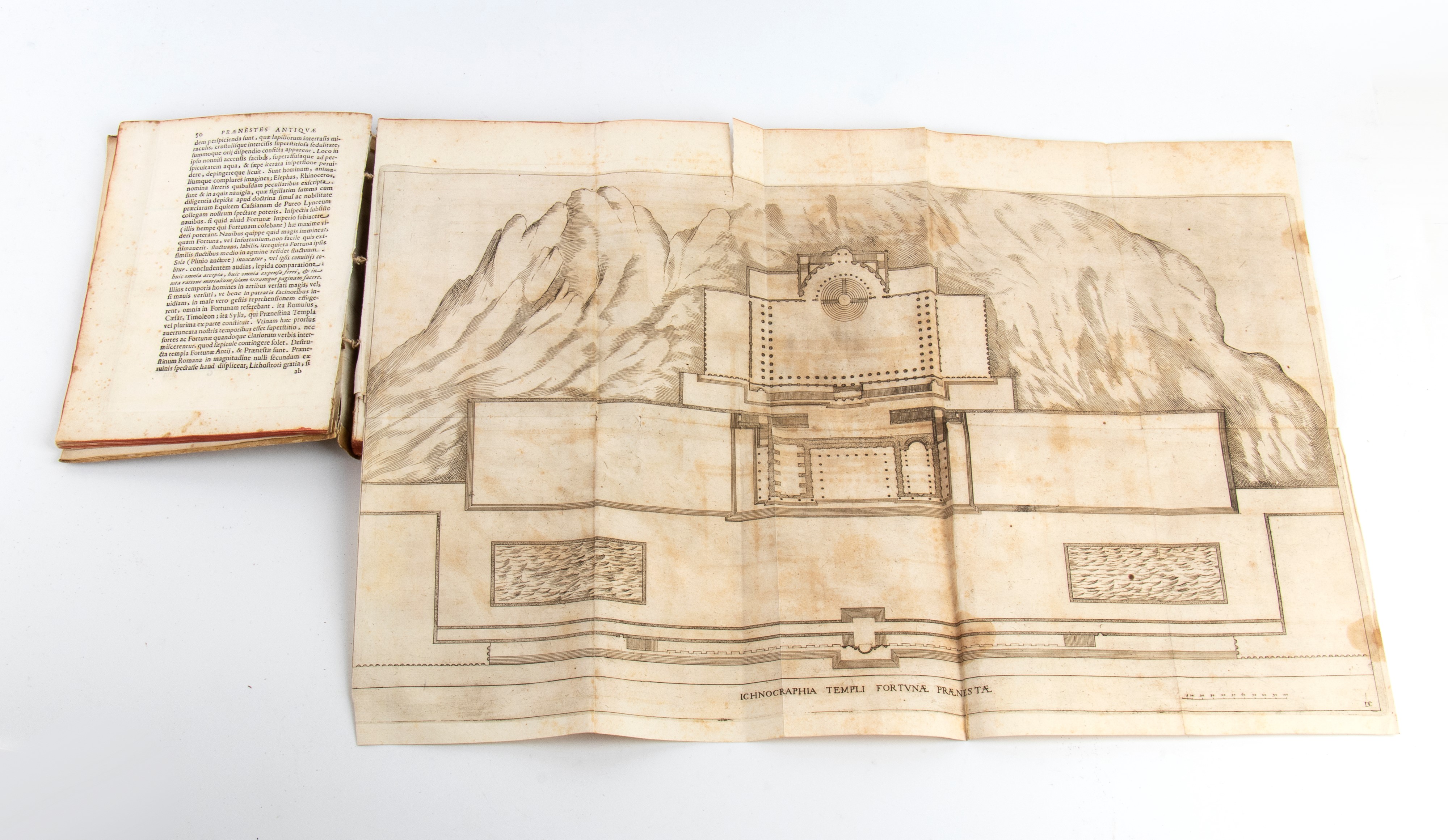 SUARESII Iosephi Mariae episcopi Vasionensis Praenestes antiquae. Libri duo