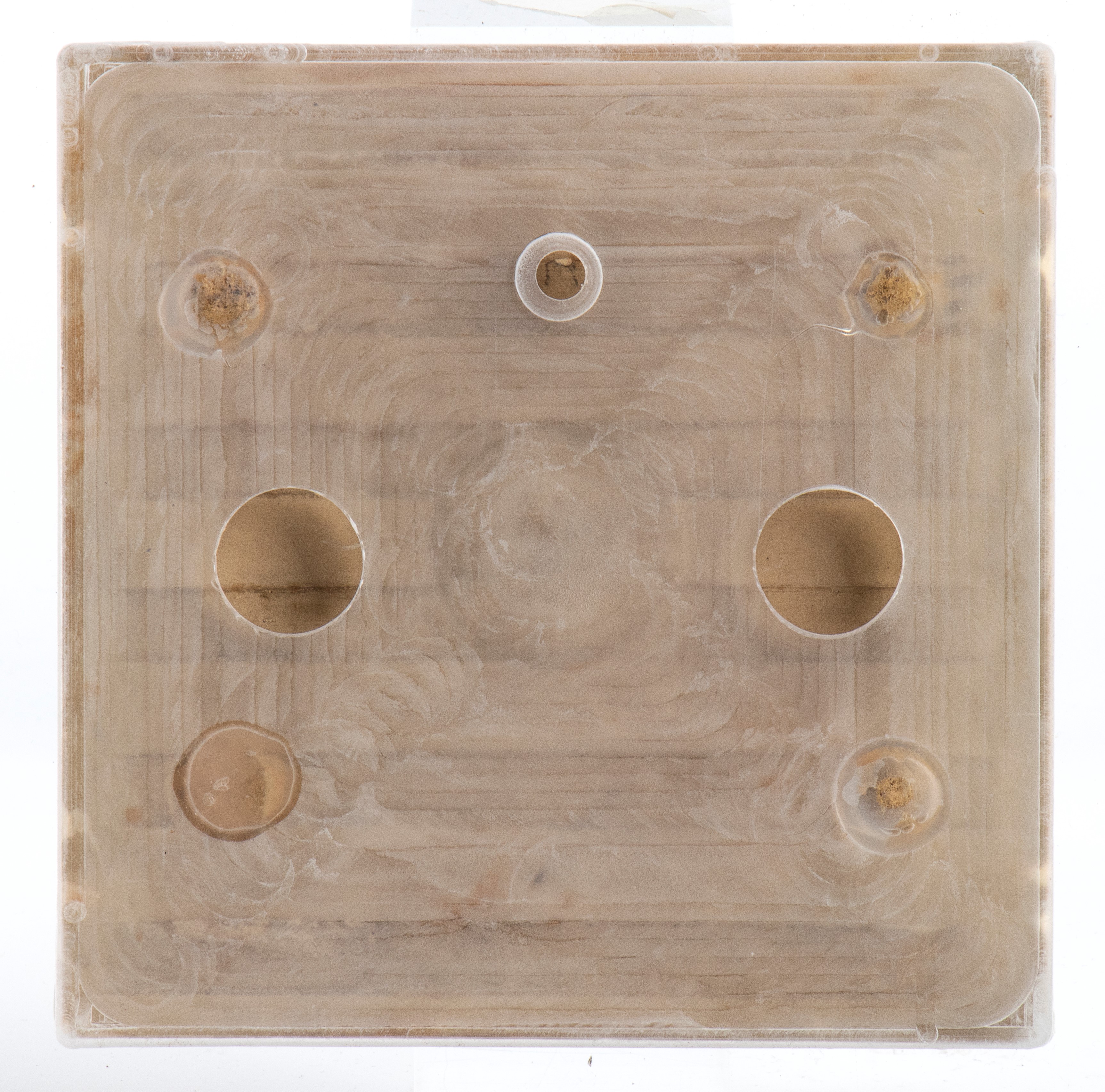 Mattonella con bove in campagna