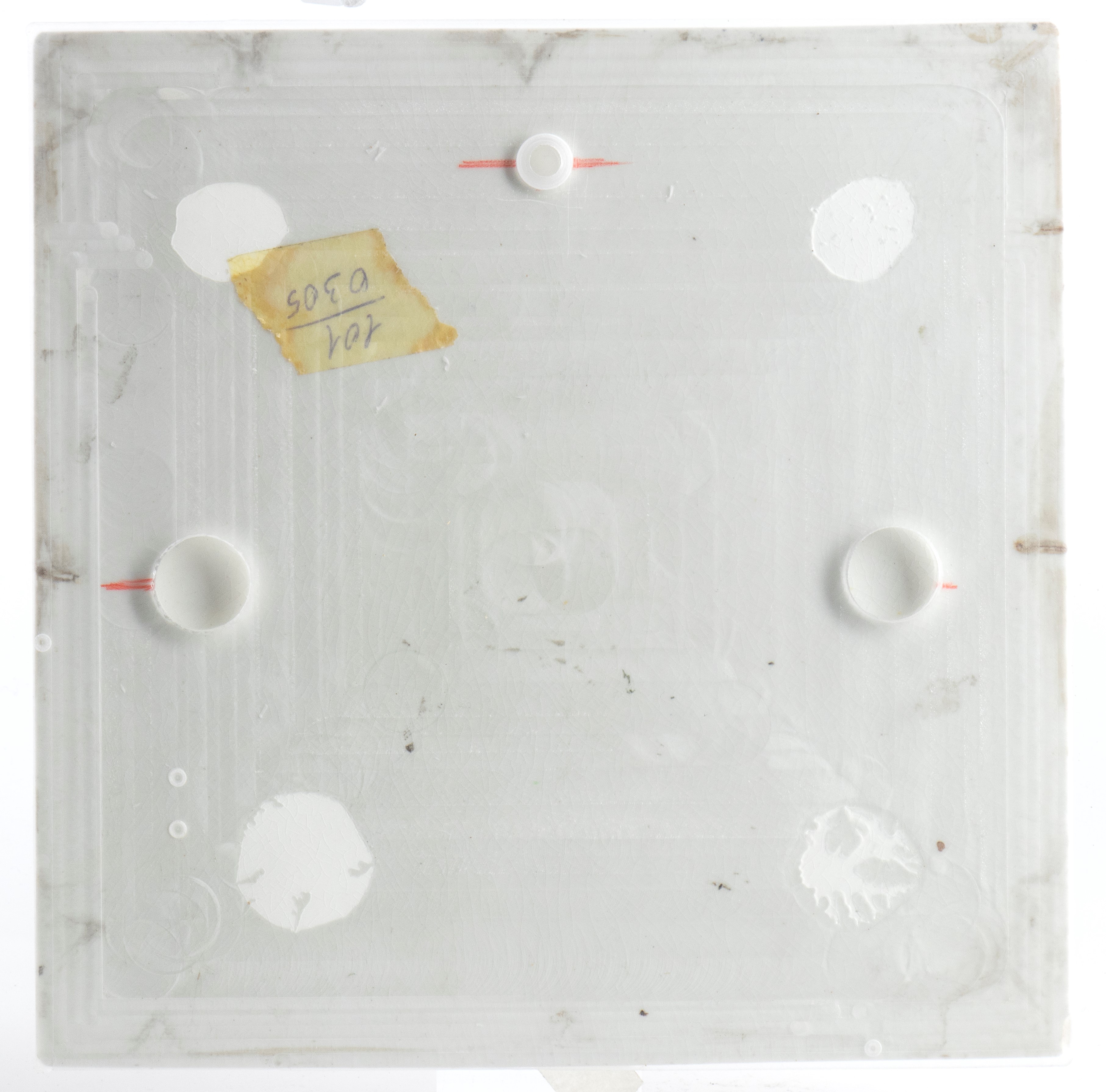 Mattonella con decoro di fiori, farfalle e cavalletta