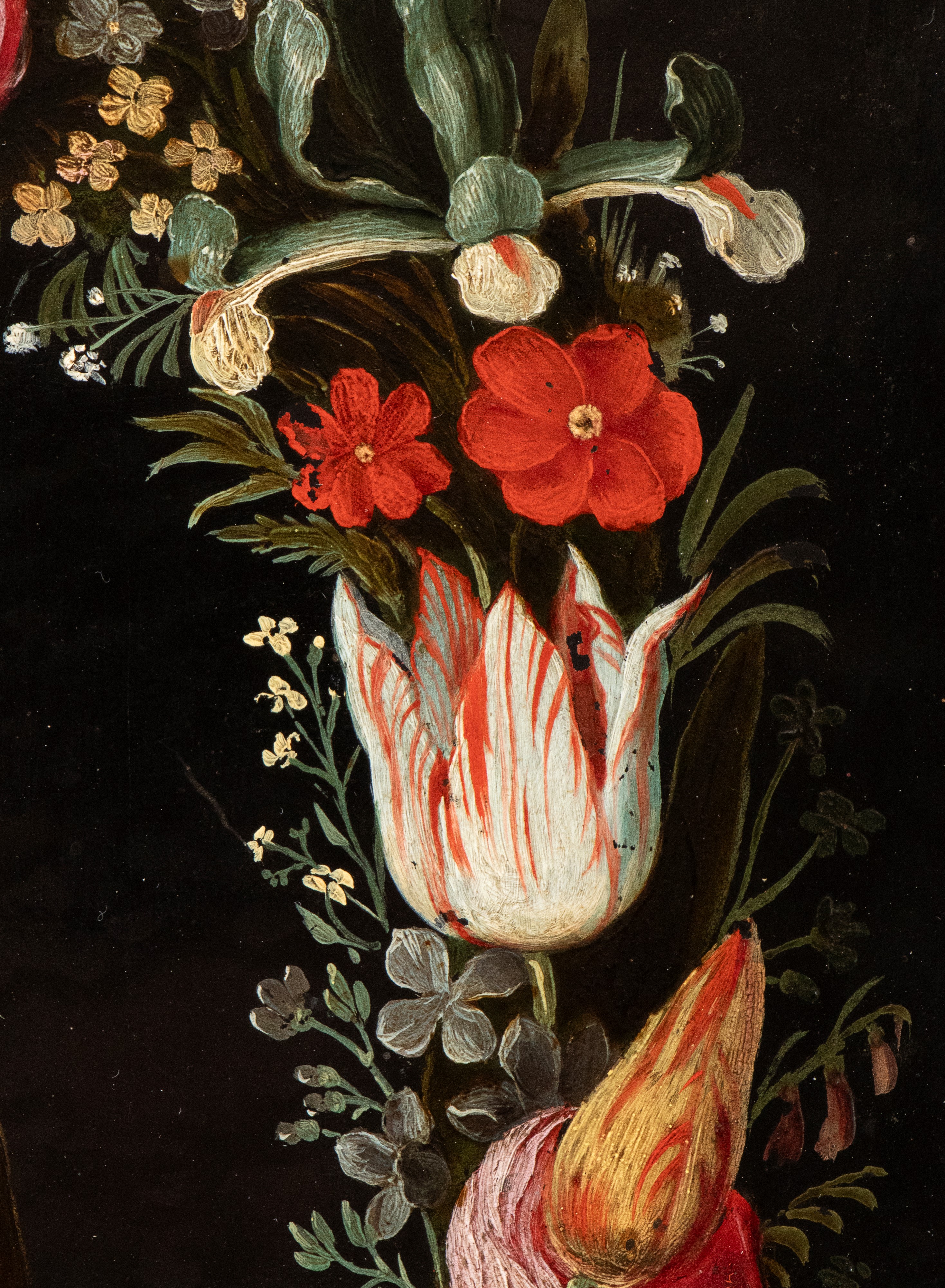 La Sapienza illuminata dalla Fede entro una ghirlanda di fiori