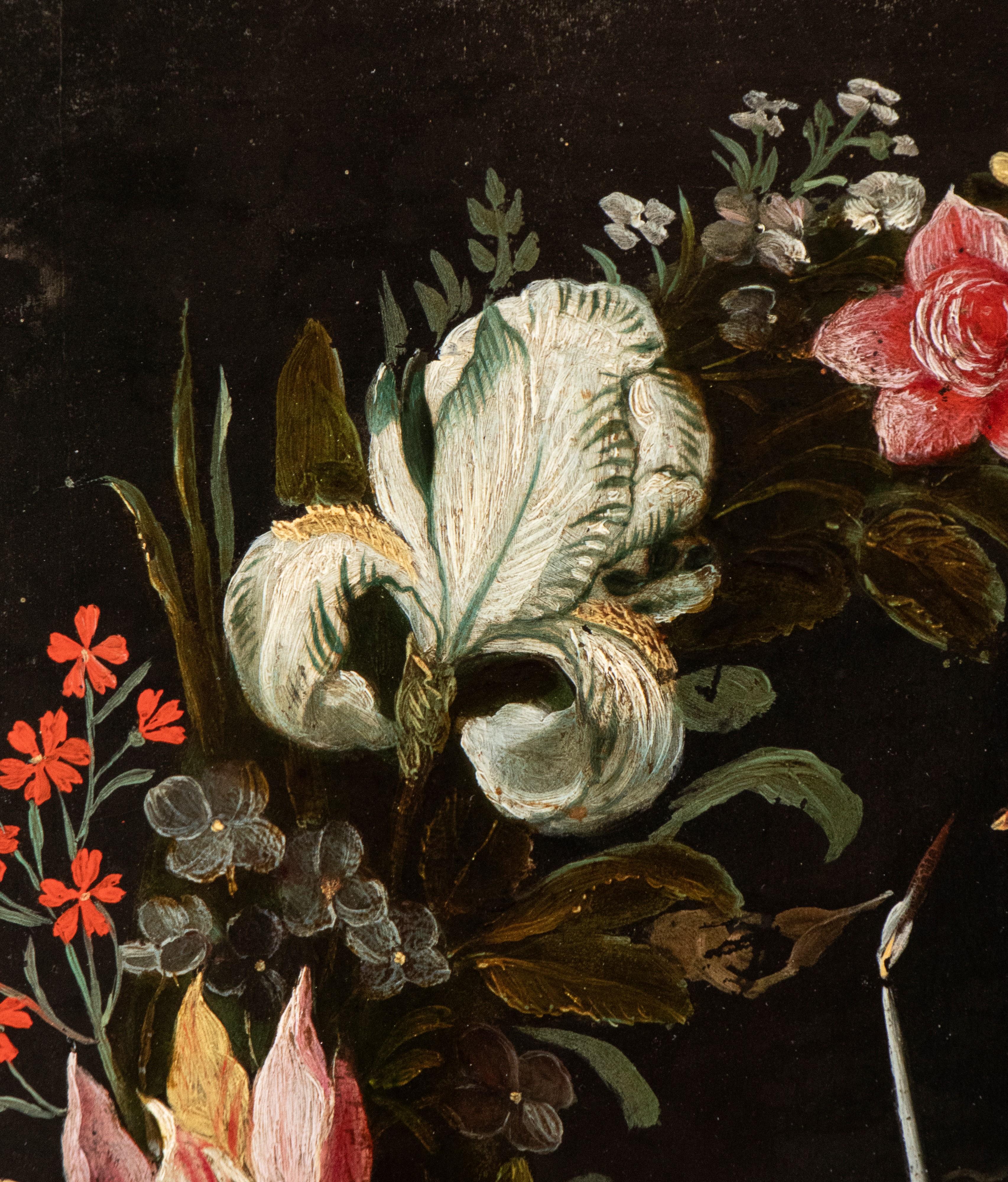 La Sapienza illuminata dalla Fede entro una ghirlanda di fiori