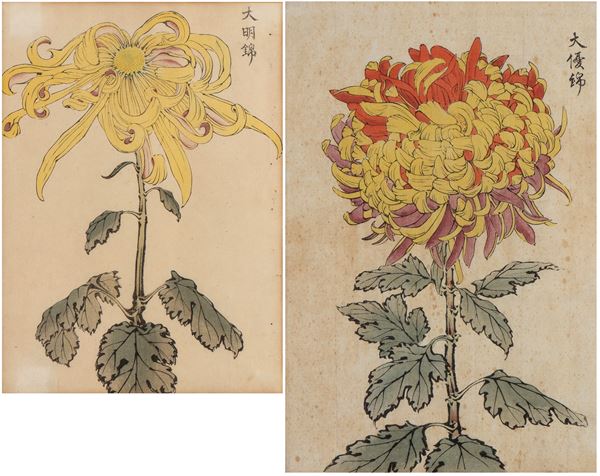 Keika Hasegawa - Chrysanthemums